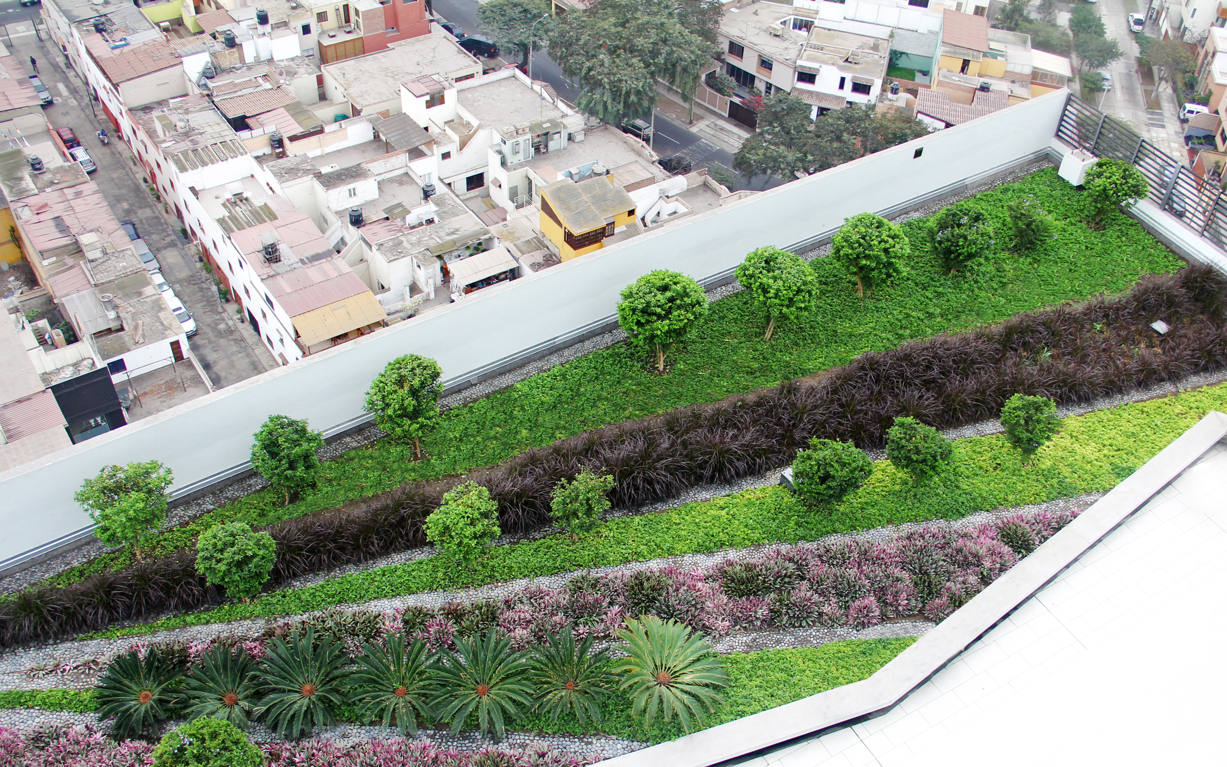 Roof garden with small trees, palm trees, shrubs and ornamental grasses