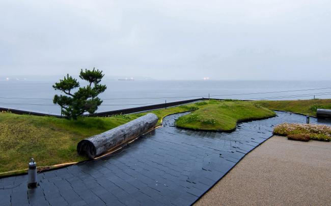 Roof garden with lawn, tree trunk, small pine tree and subtle illumination at dawn