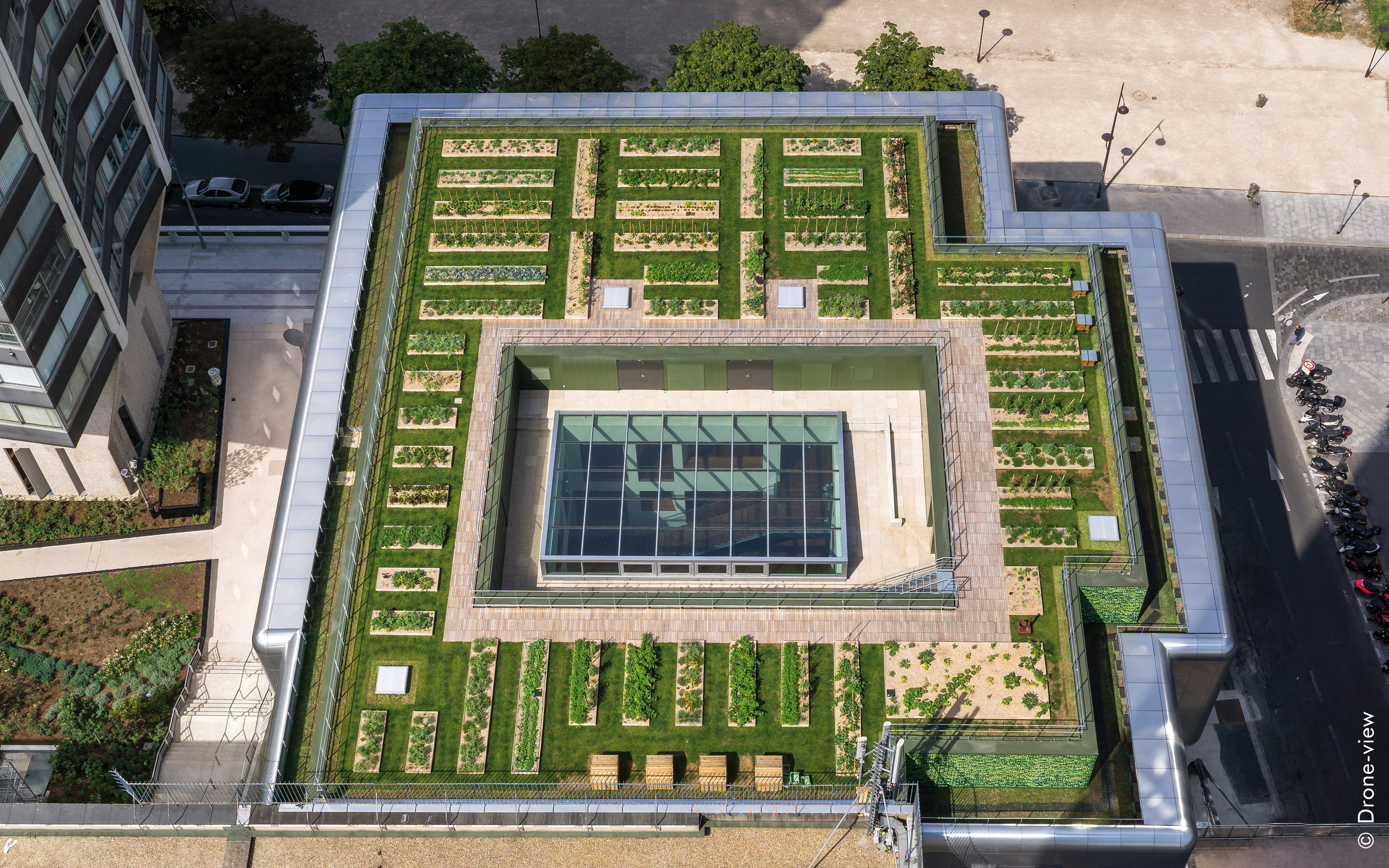 Bird's eye view of a green roof with vegetable plant beds