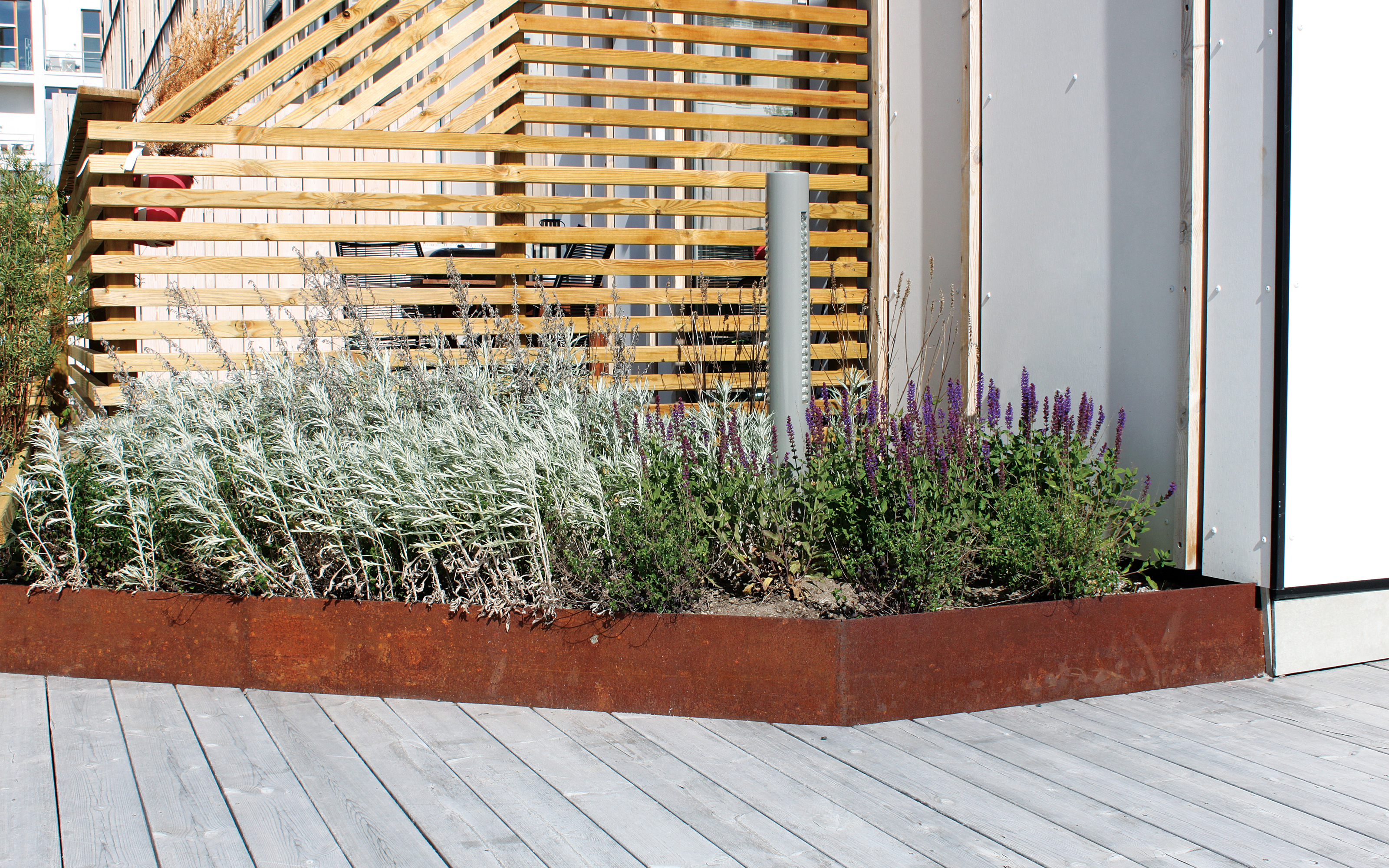 Plant bed with herbs and rusty metal edging on a wooden deck.