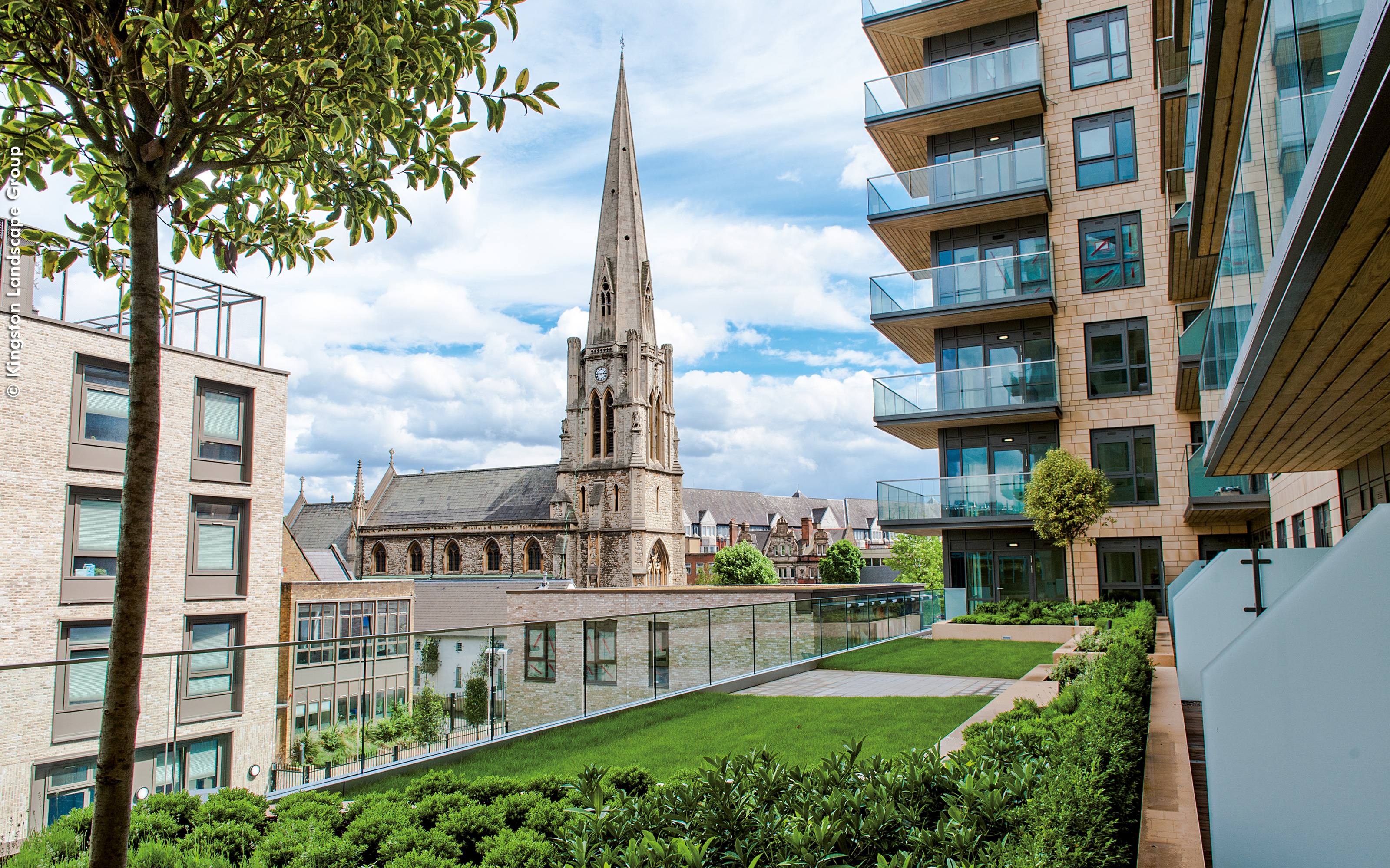 Roof garden with lawn and small trees with a view onto a church