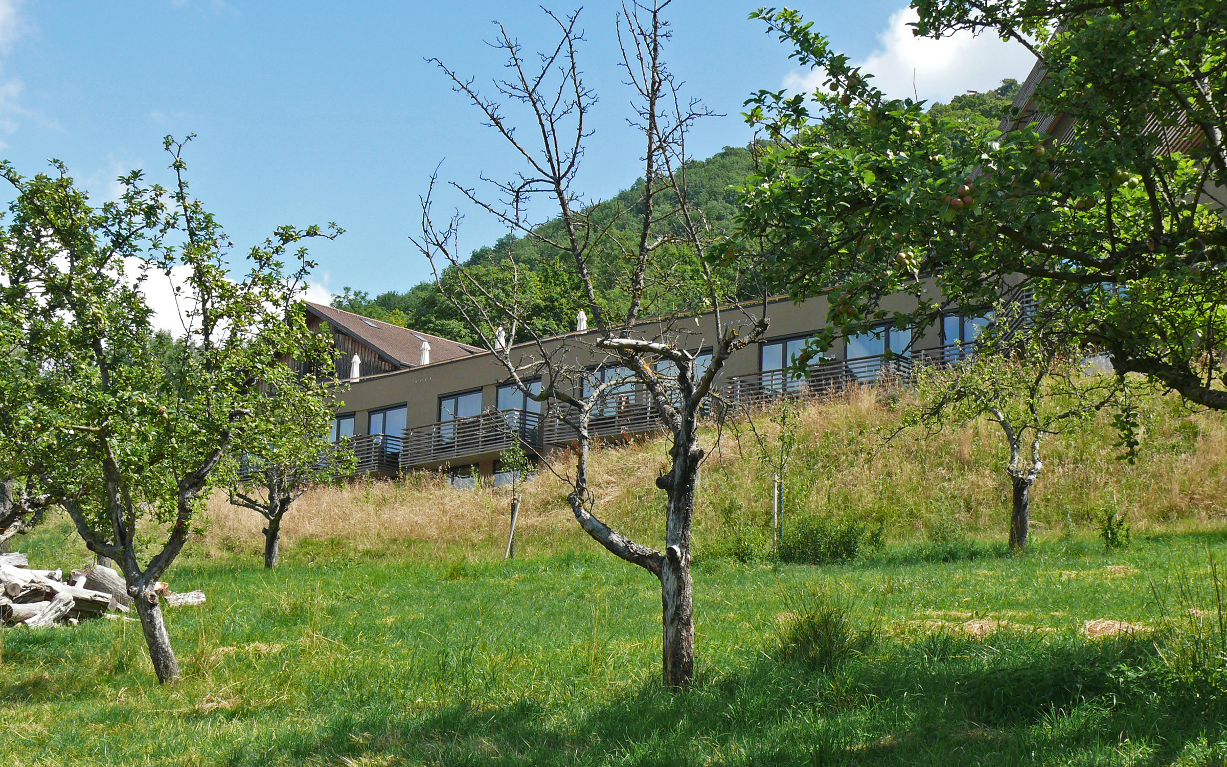 A meadow orchard in front of the building