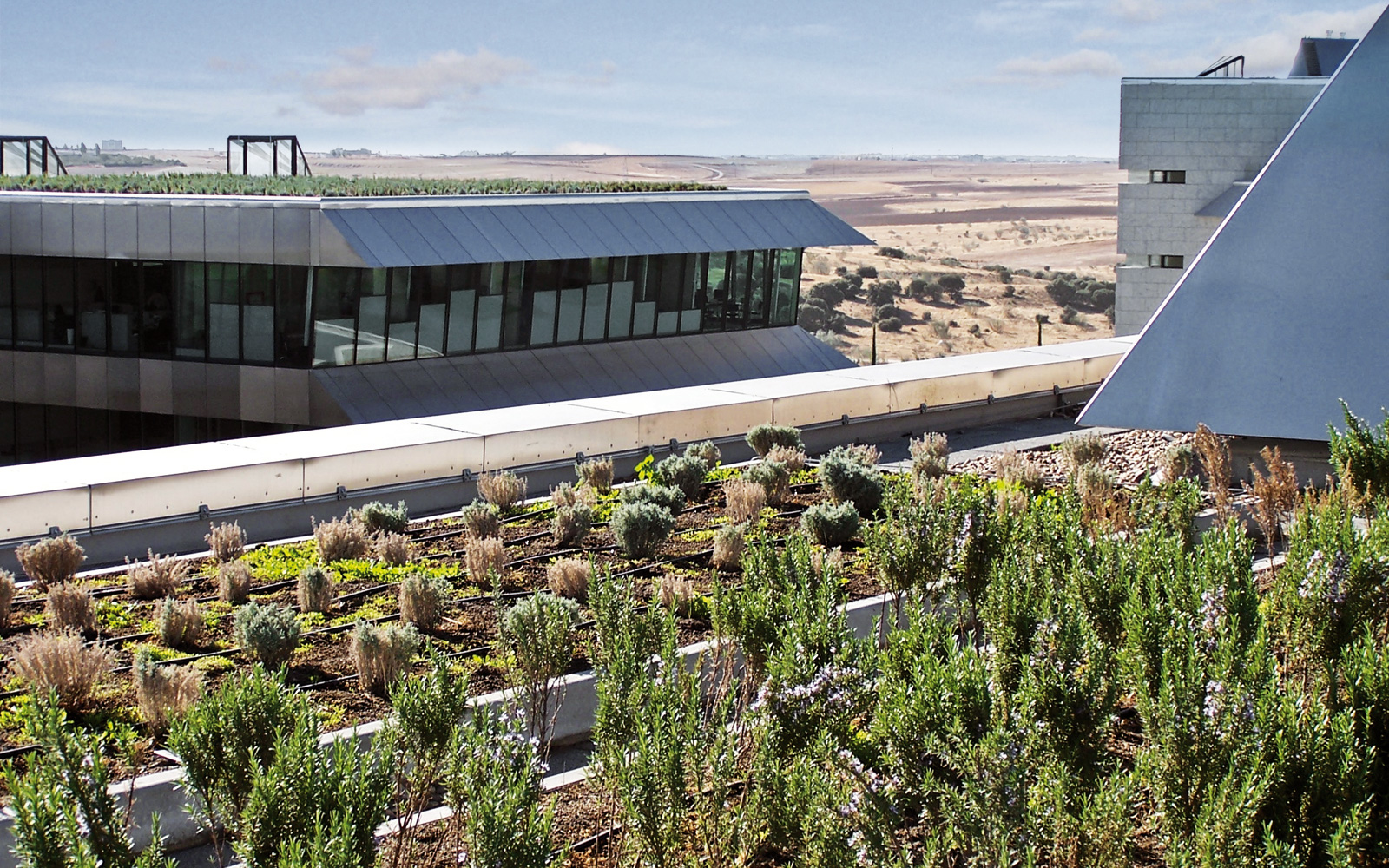 Vegetated green roof with irrigation pipes