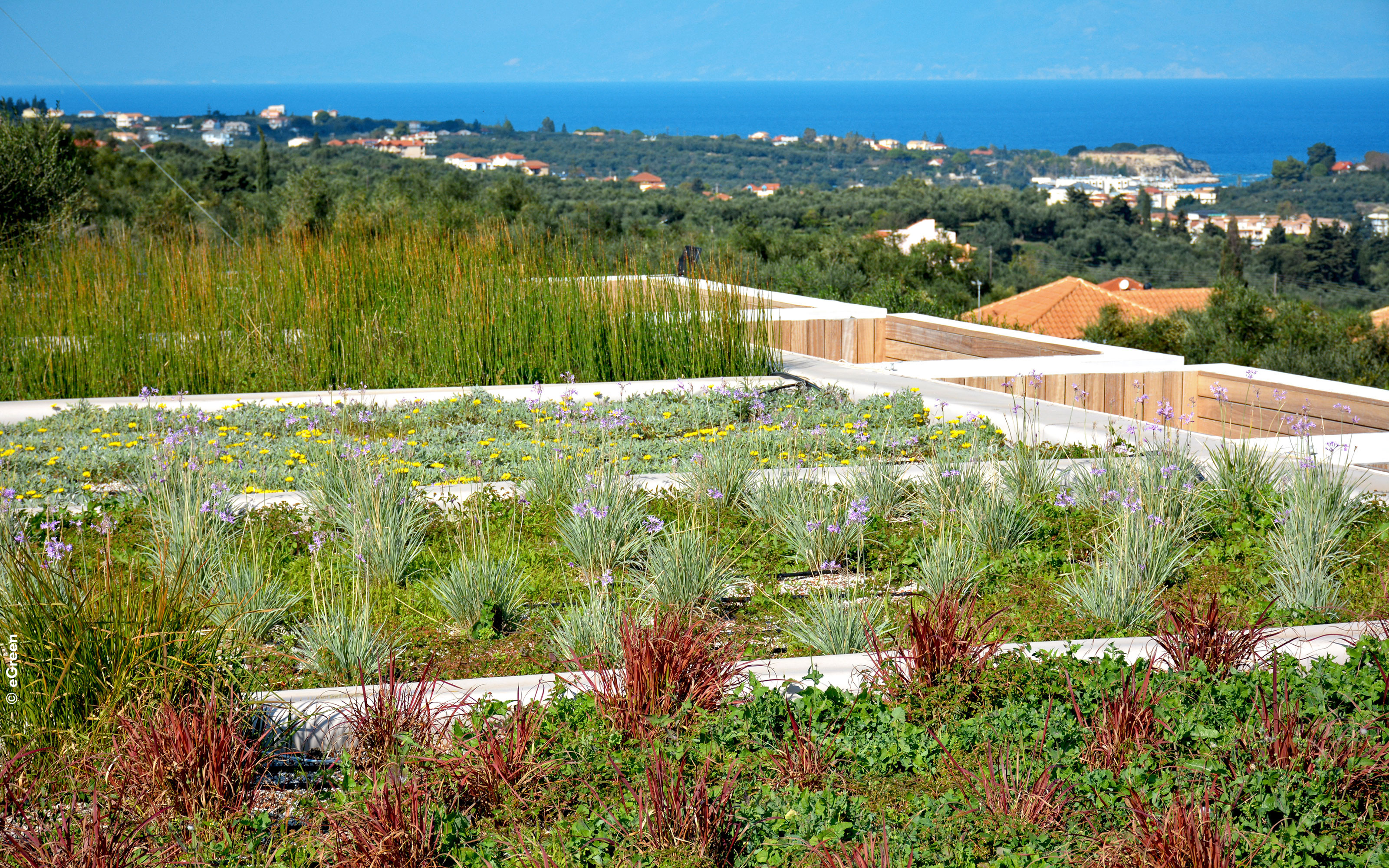 Green roof with grasses and perennials of various colours