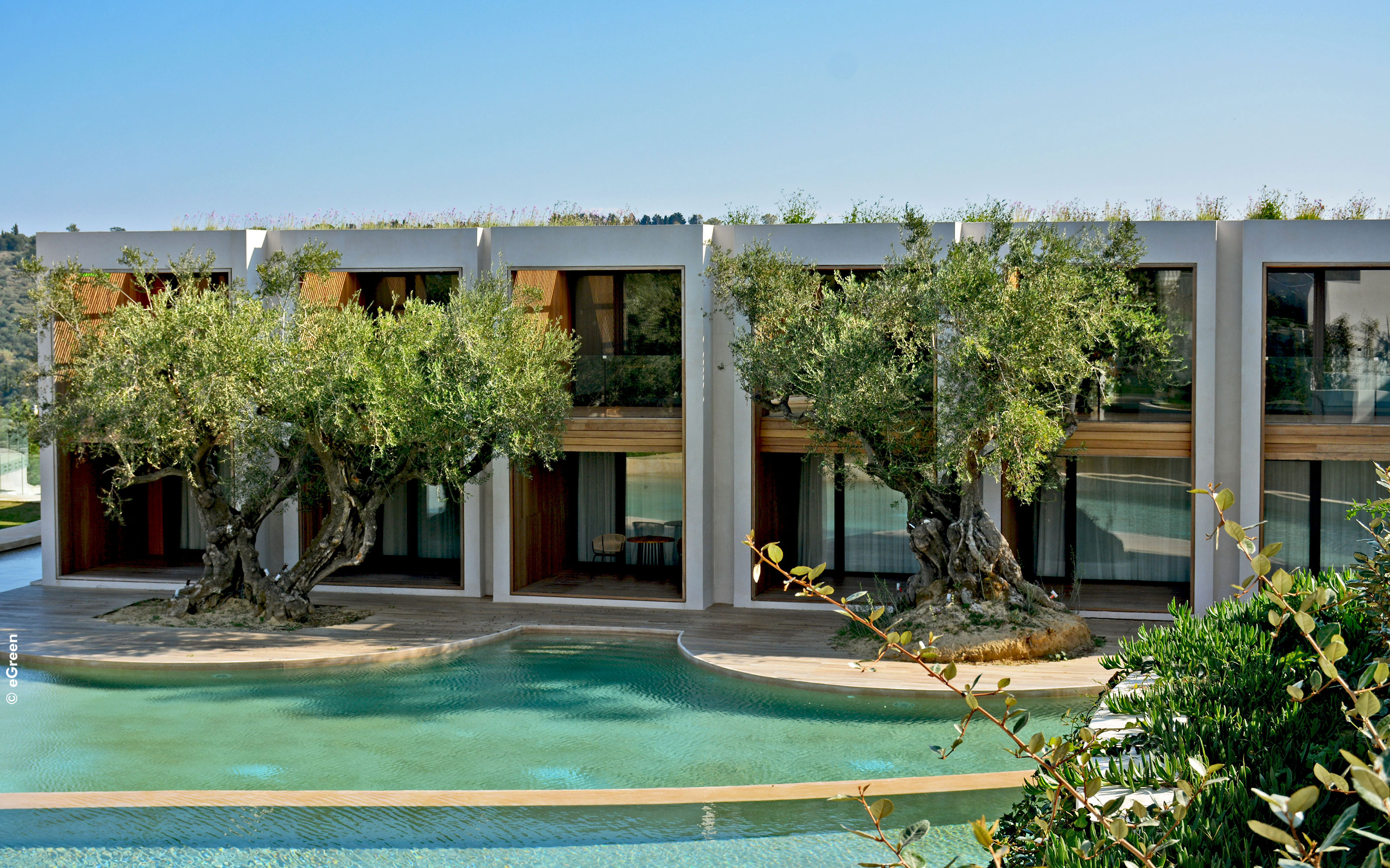 Hotel complex with water basins and olive trees