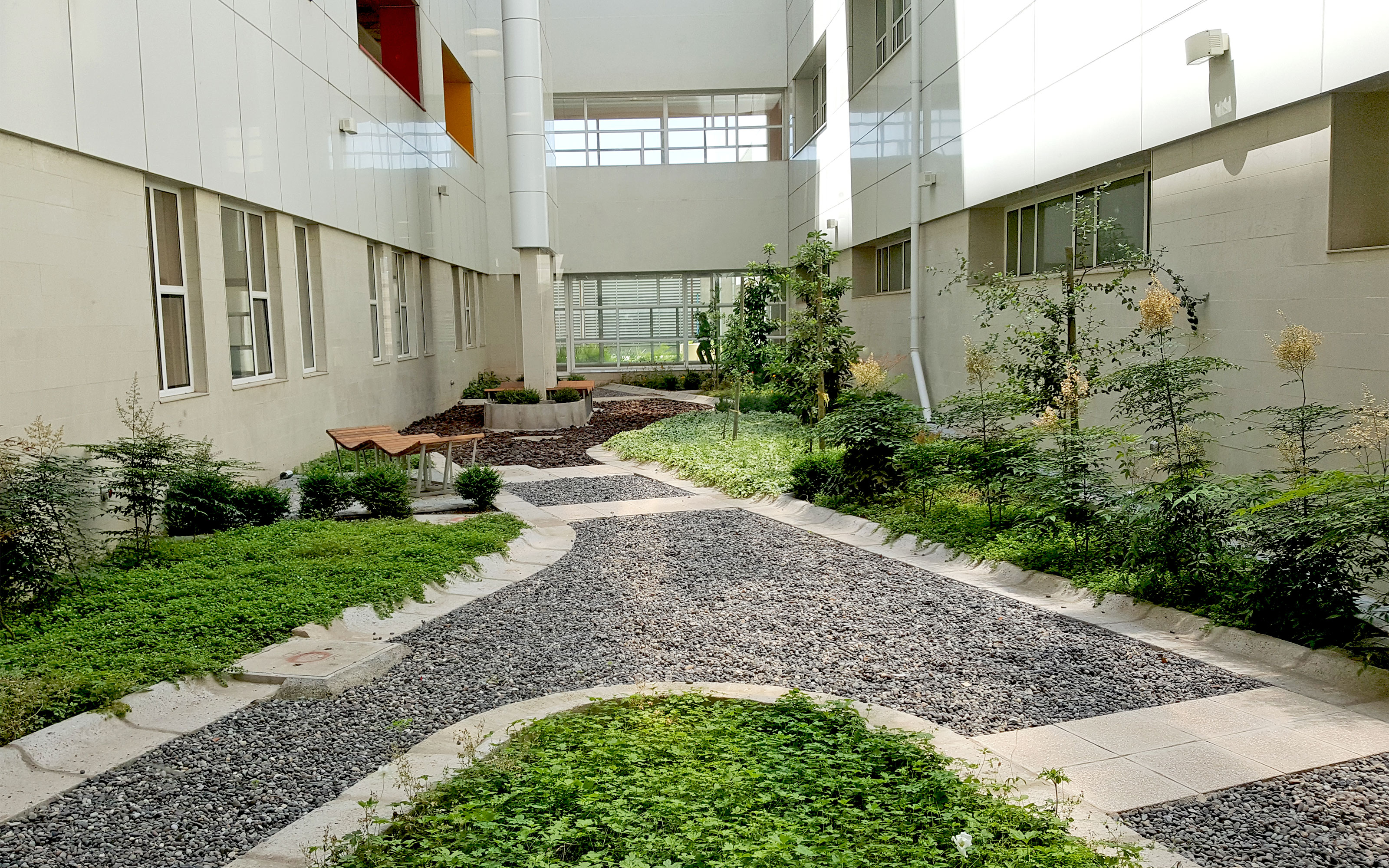 Greened courtyard with benches