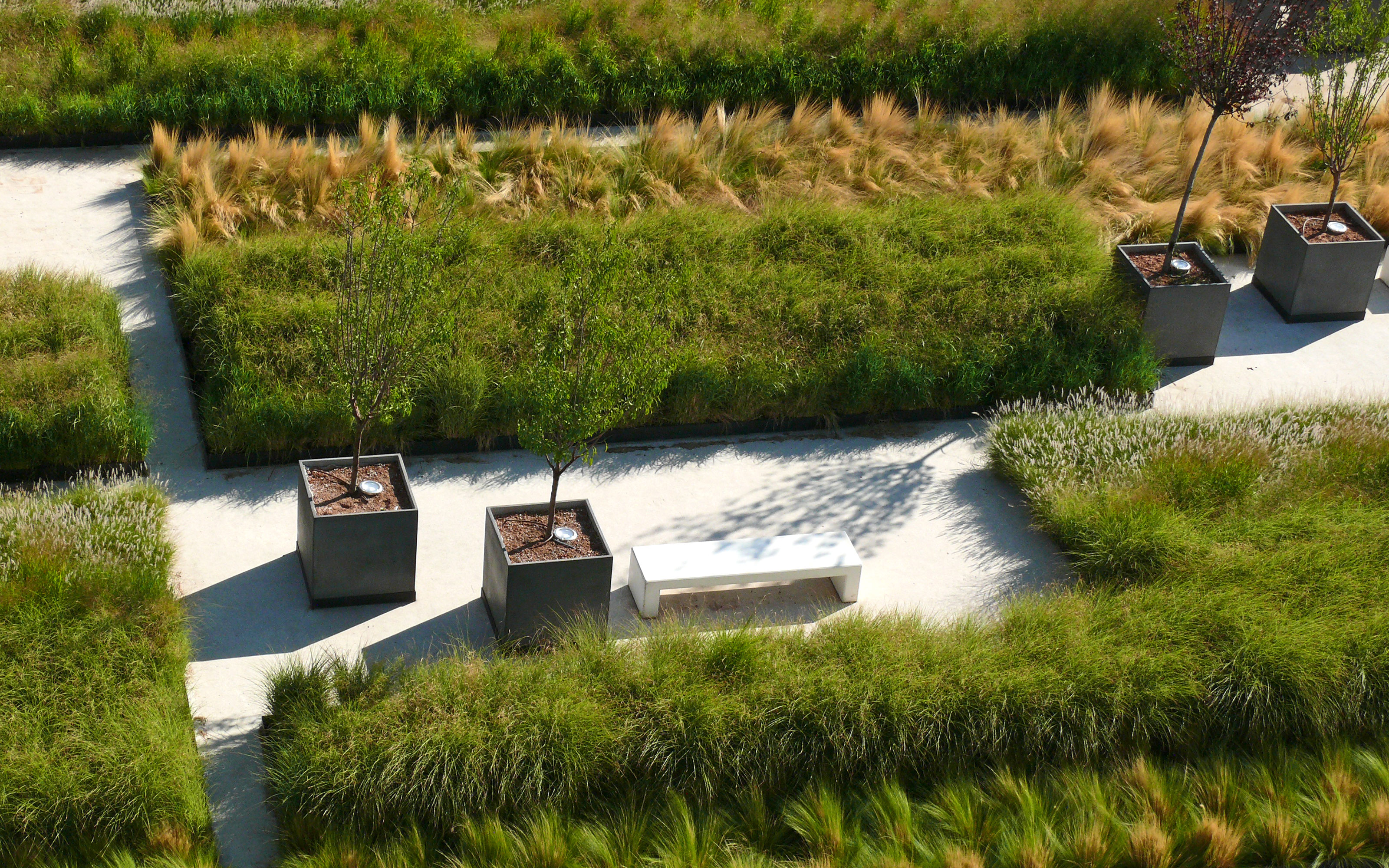 Bird's eye view onto a roof garden with ornamental grasses, planters and paved areas
