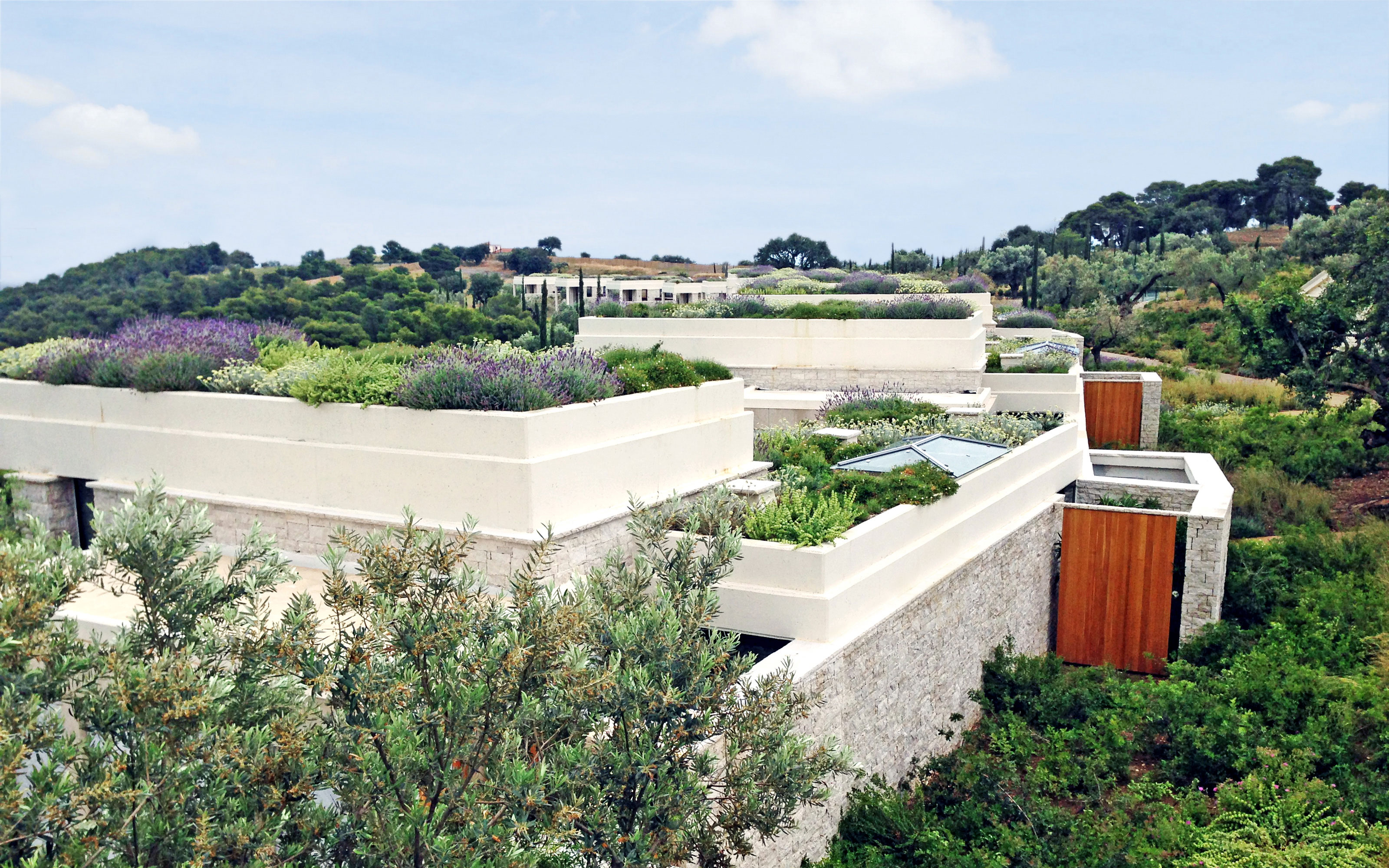 Green roofs with herbs on stone houses