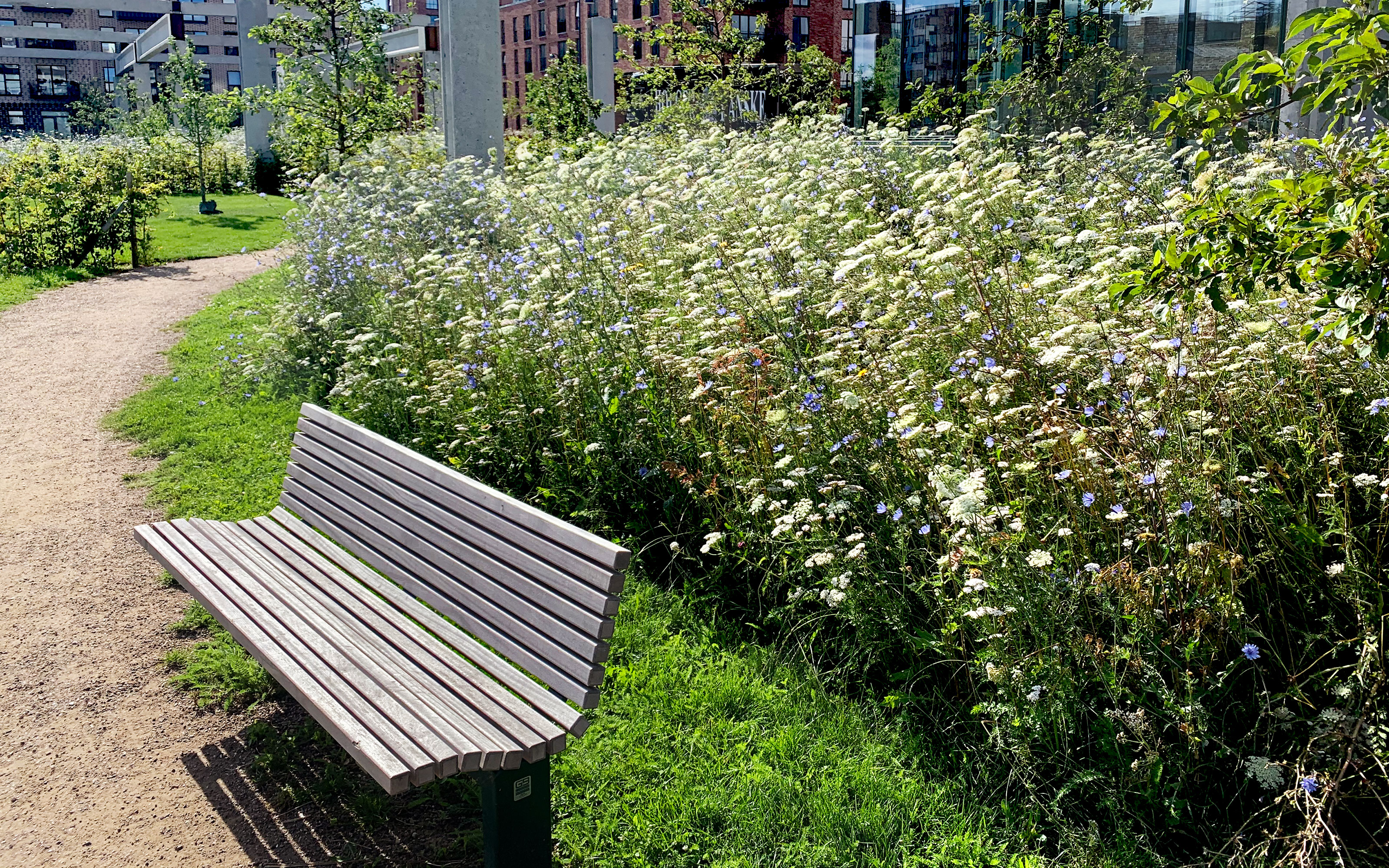 A bench in front of a meadow