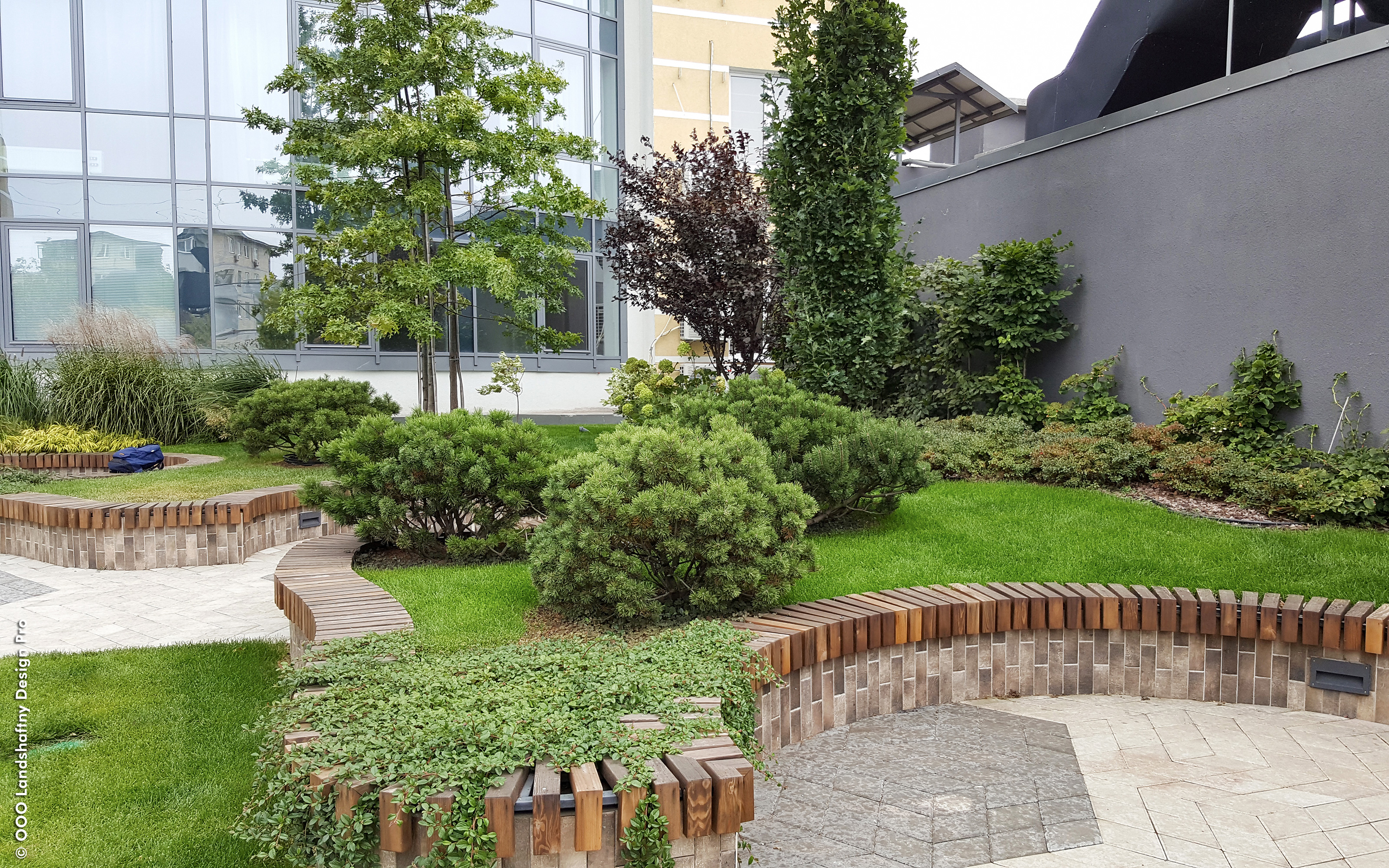 Roof garden with lawn, small trees and circular wooden benches