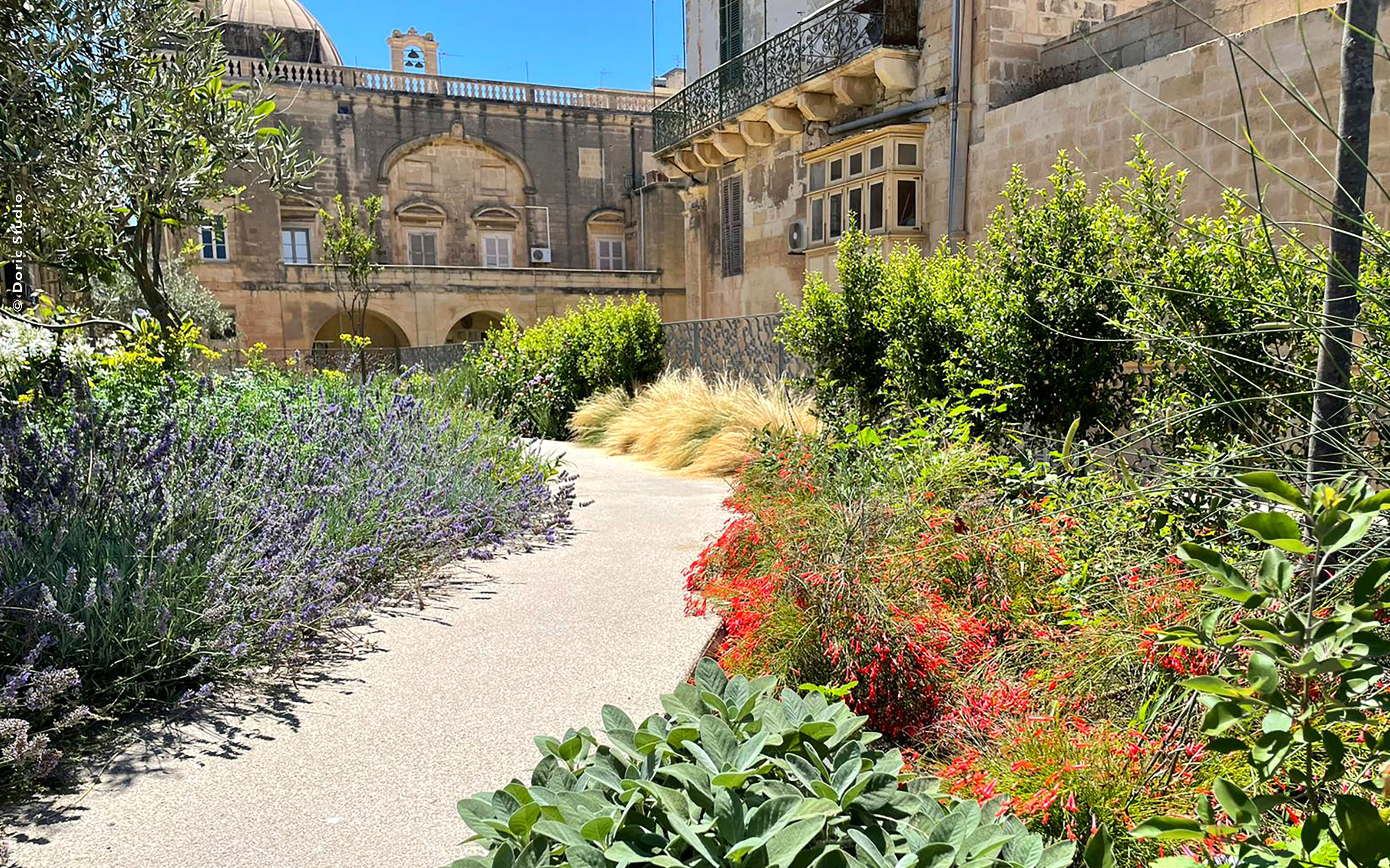 Roof garden with mediterranean plants and a pathway