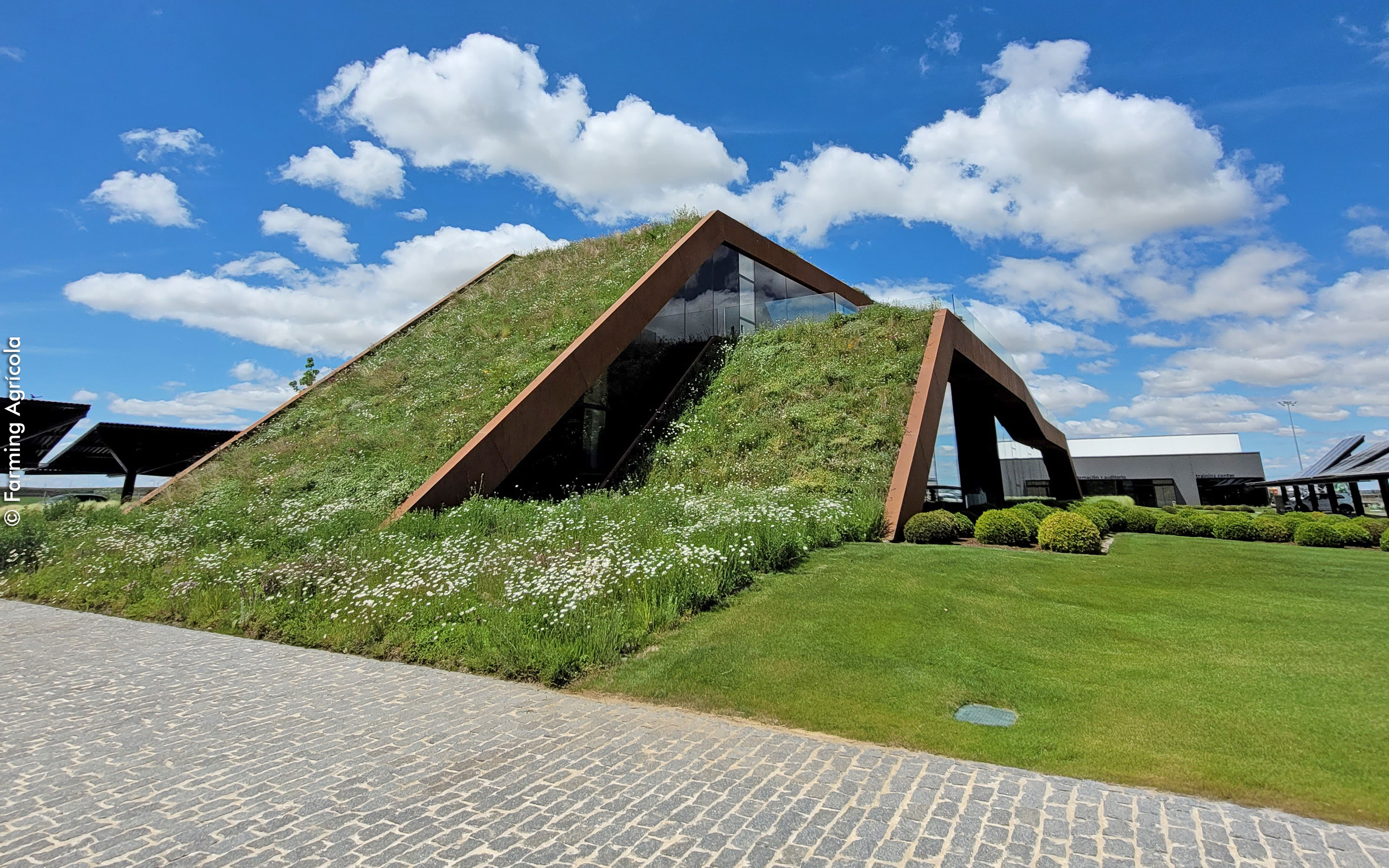 Pitched green roof with a meadow