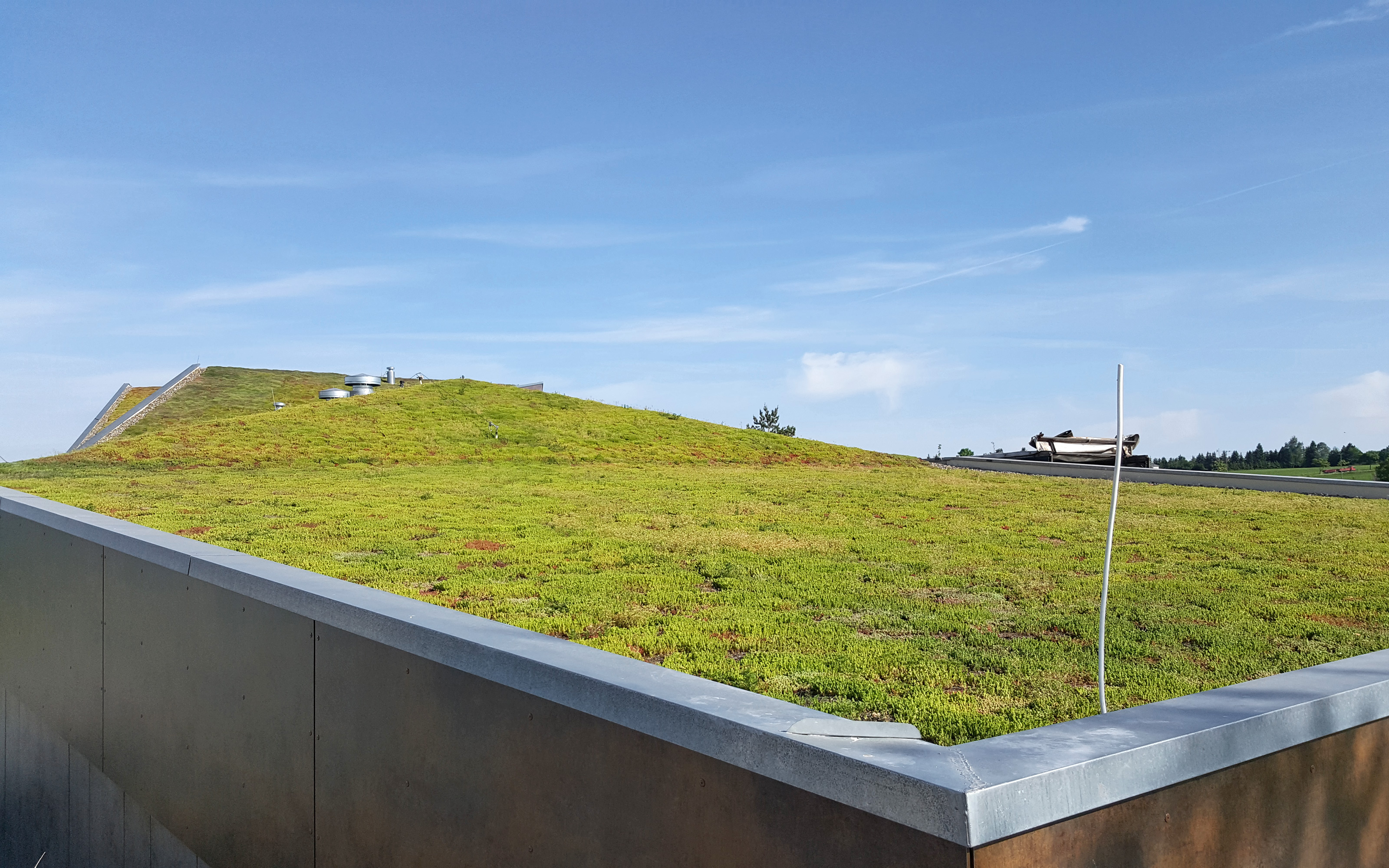 Green roof