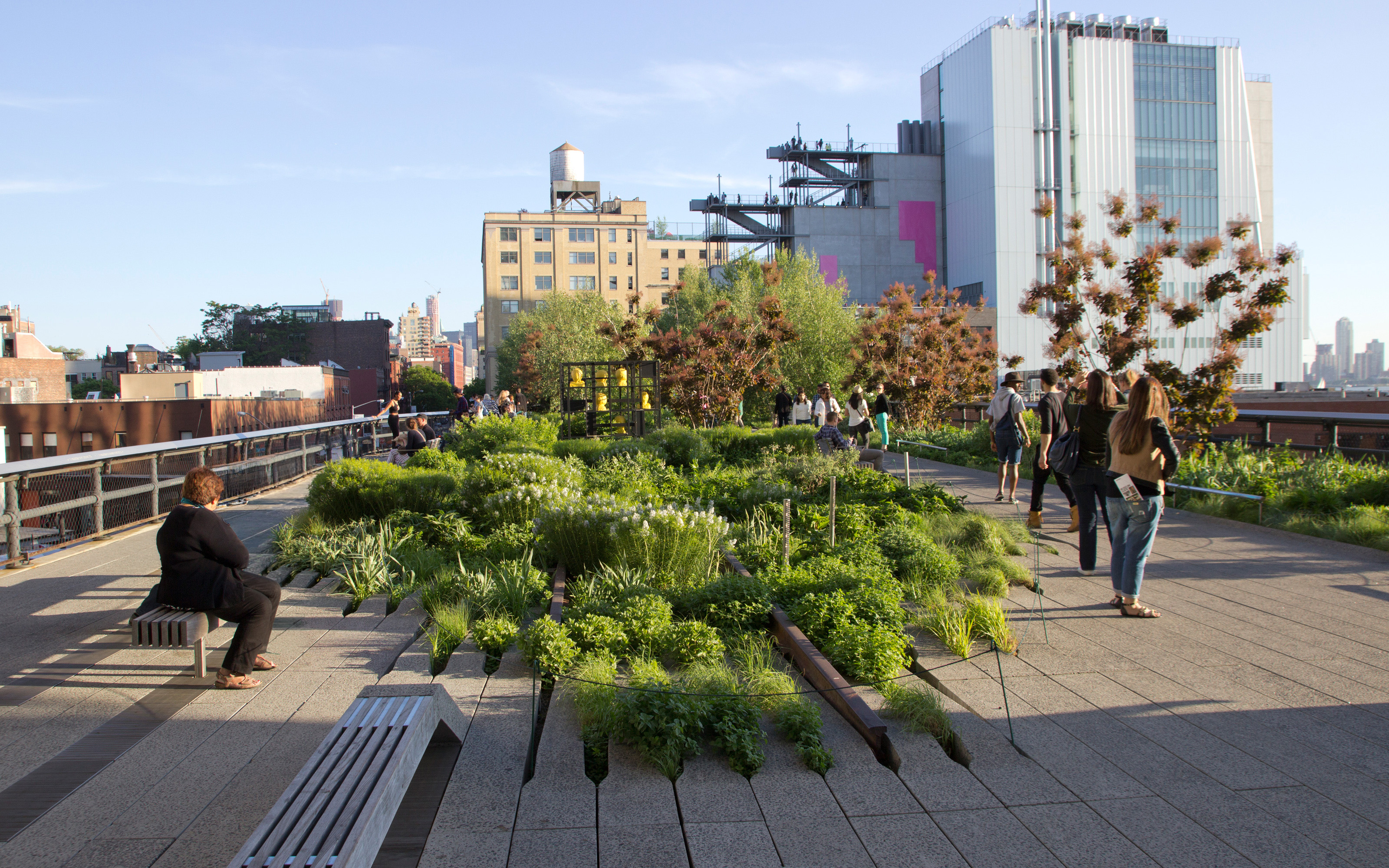 The High Line with walkways and vegetated areas