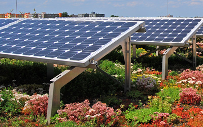Green roof and photovoltaics