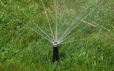 Irrigation of a lawn