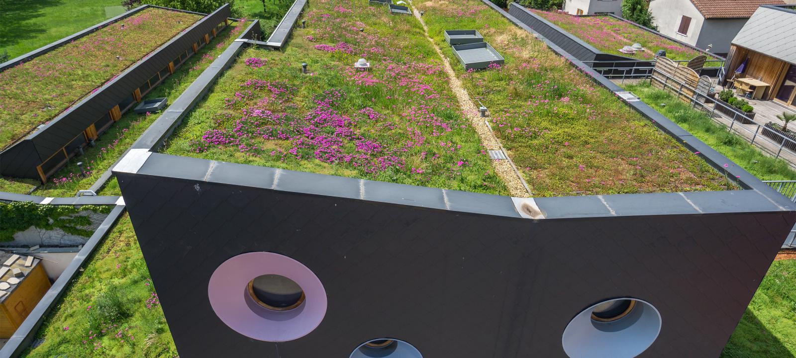 pitched green roofs up to 25 zinco green roof systems