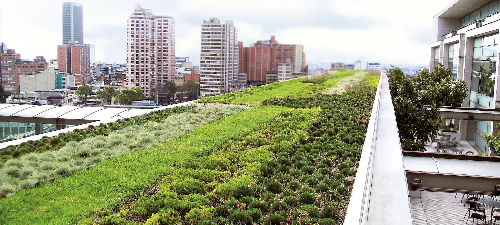 How Much Weight Can A Rooftop Garden Hold?