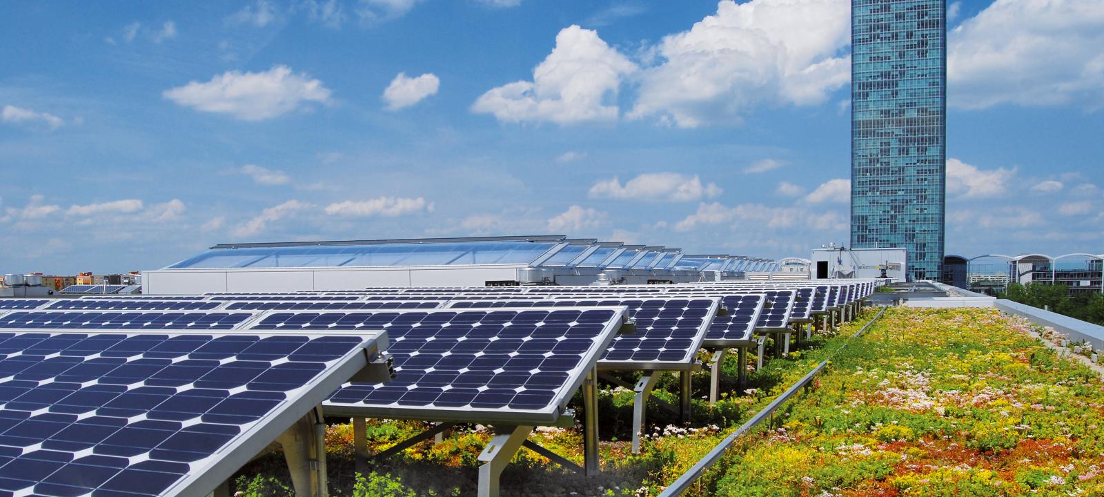 Green roof with photovoltaics