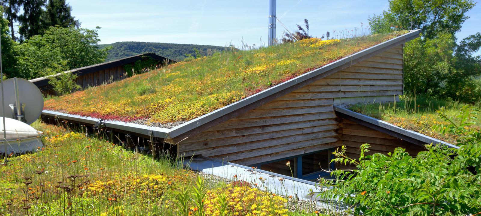 Pitched Green Roofs up to 25° | ZinCo Green Roof Systems