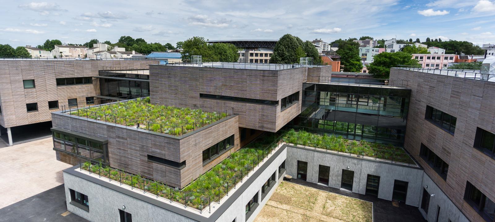 Irrigated Extensive Green Roof Zinco Systems Extensive Green Roofs
