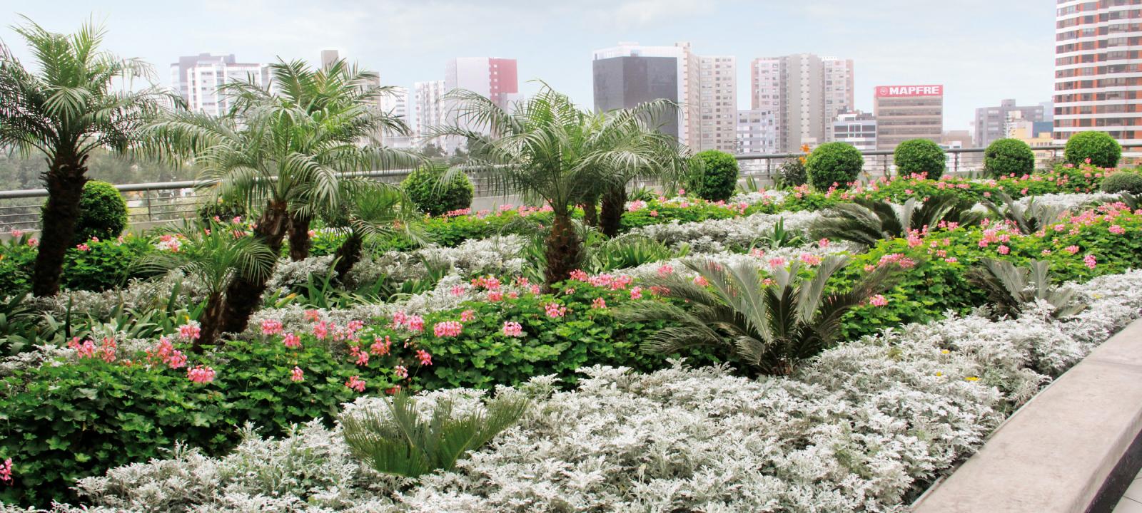 Business Centre Leuro, Lima | ZinCo Green Roof Systems