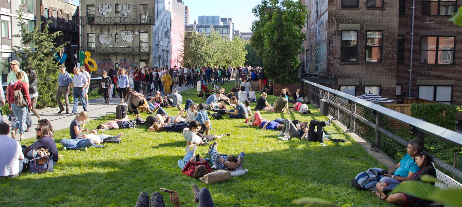 green roofs with lawn