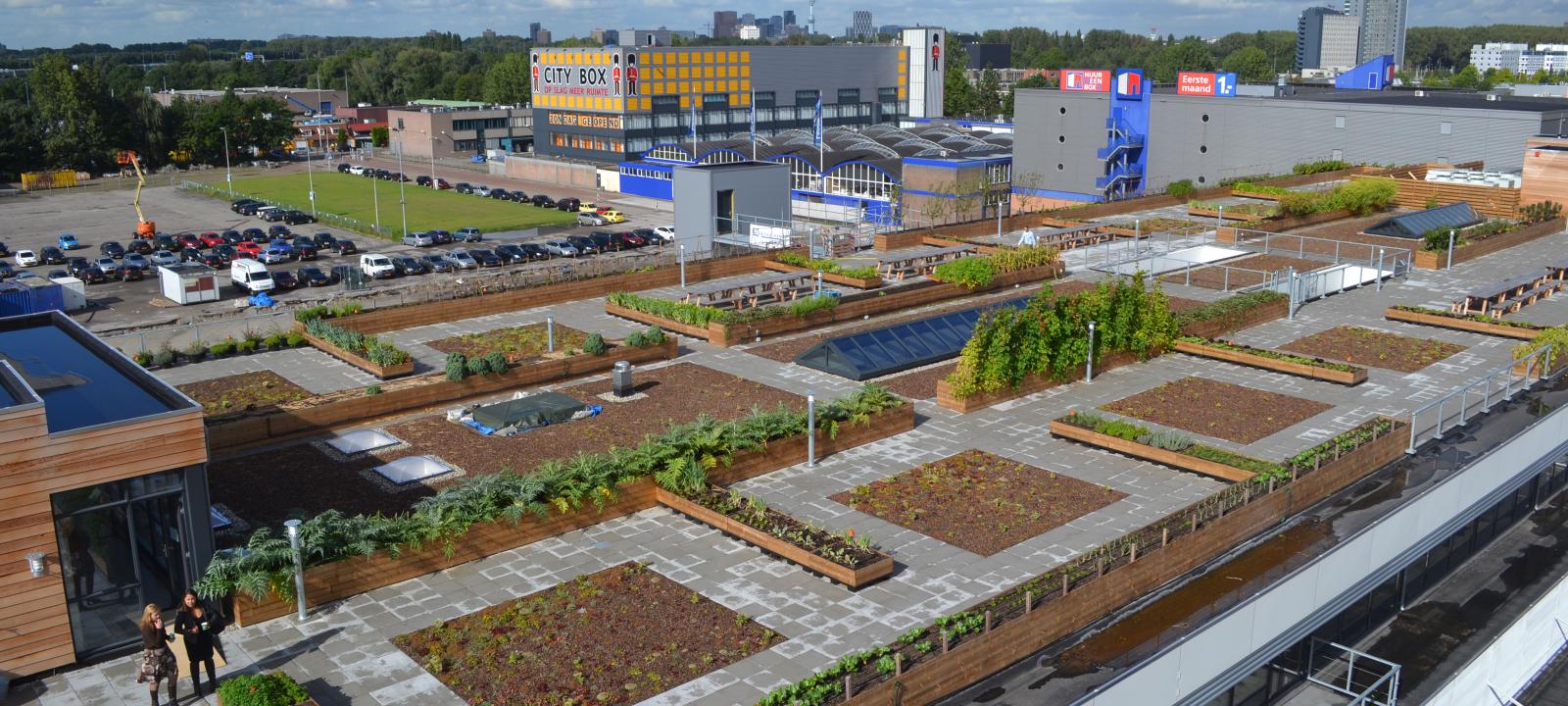 Bird's eye view on a large rooftop farm