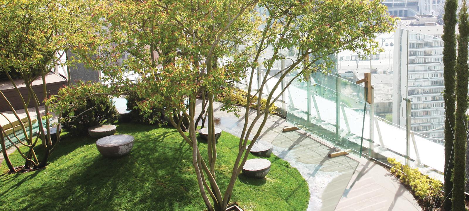 Roof garden with sitting area and big trees in a big city