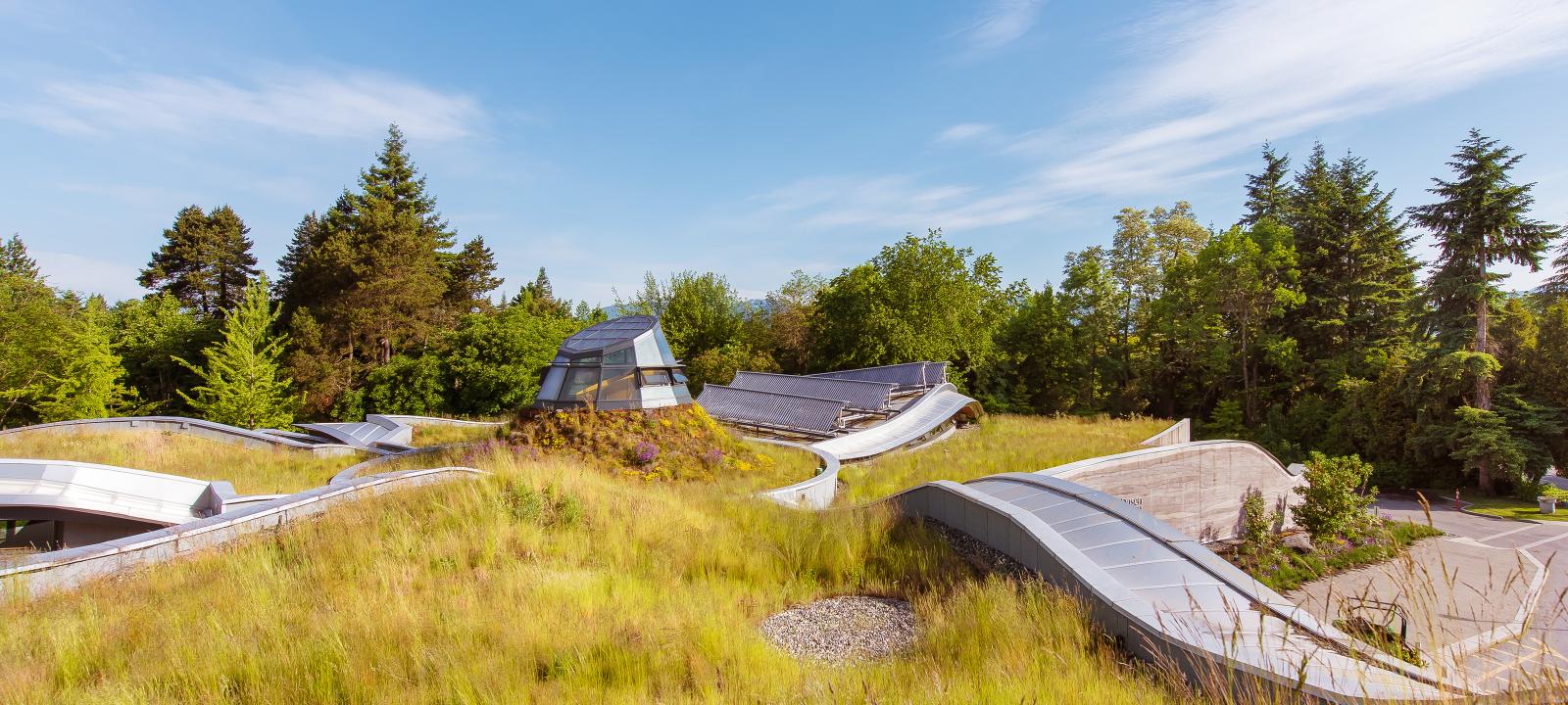 Green roof with grasses and atrium