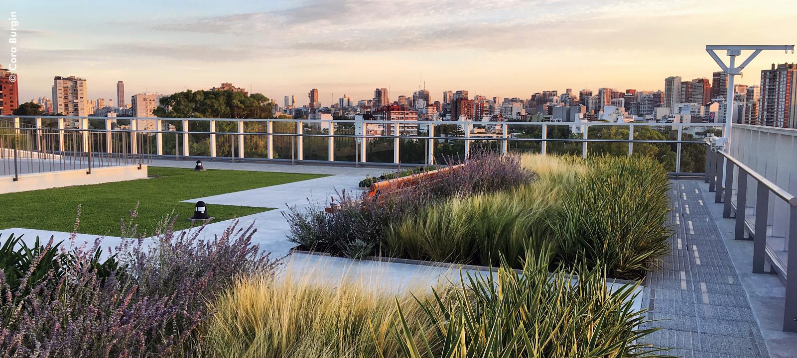 Intensive Green Roof Heather with Lavender | ZinCo Green ...