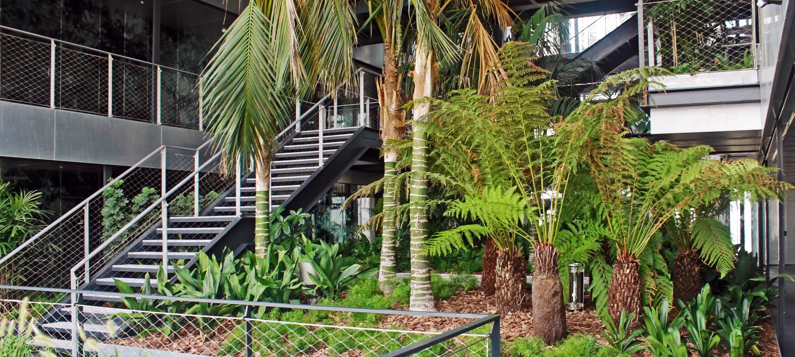 Palm trees and tropical plant within a building