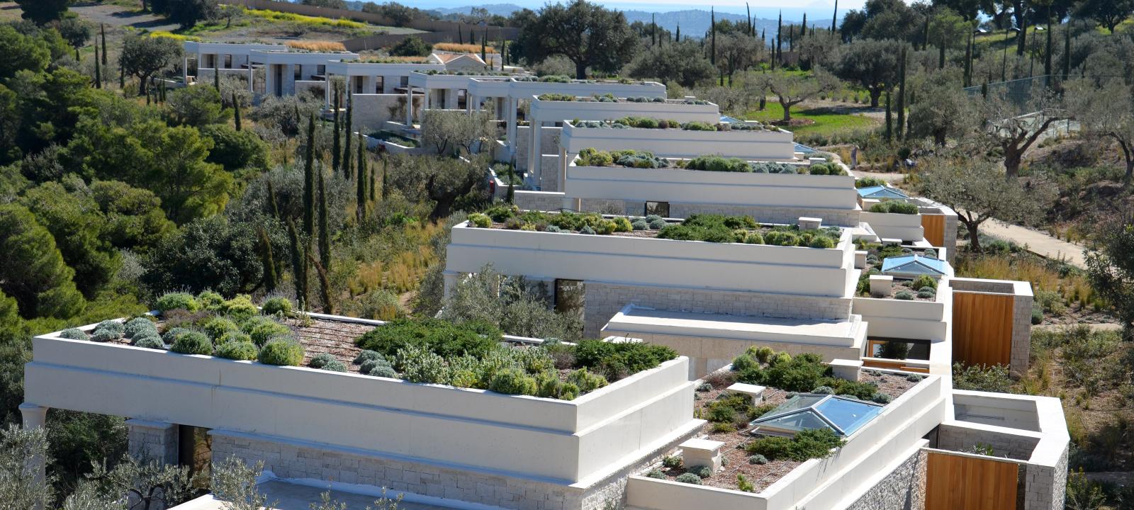 Heather with Lavender | Zinco Green Roof Systems