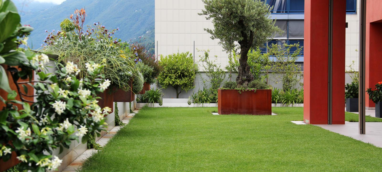 Roof garden with lawn, hanging flower boxes and an olive tree in a rust look planter