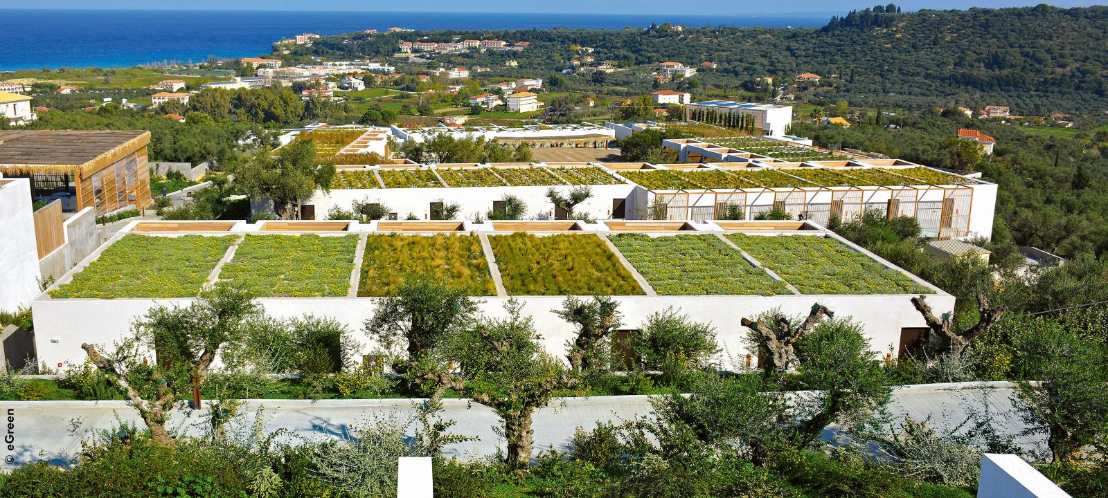 Extensive green roofs