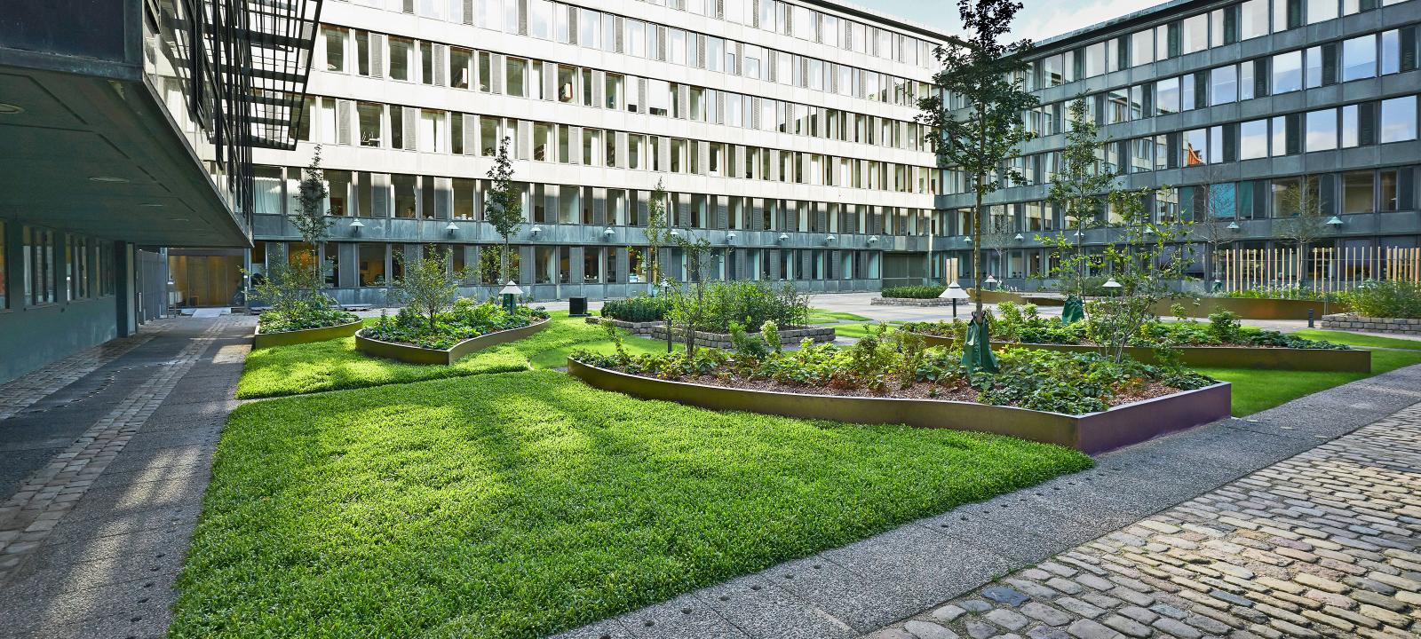 Courtyard with walking areas, lawn and plant beds with shrubs and small trees