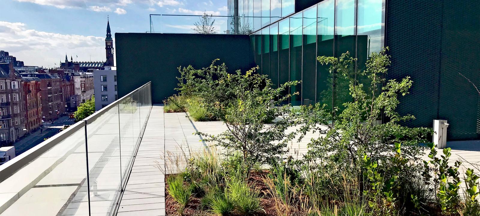 Roof terrace with plant beds and paving