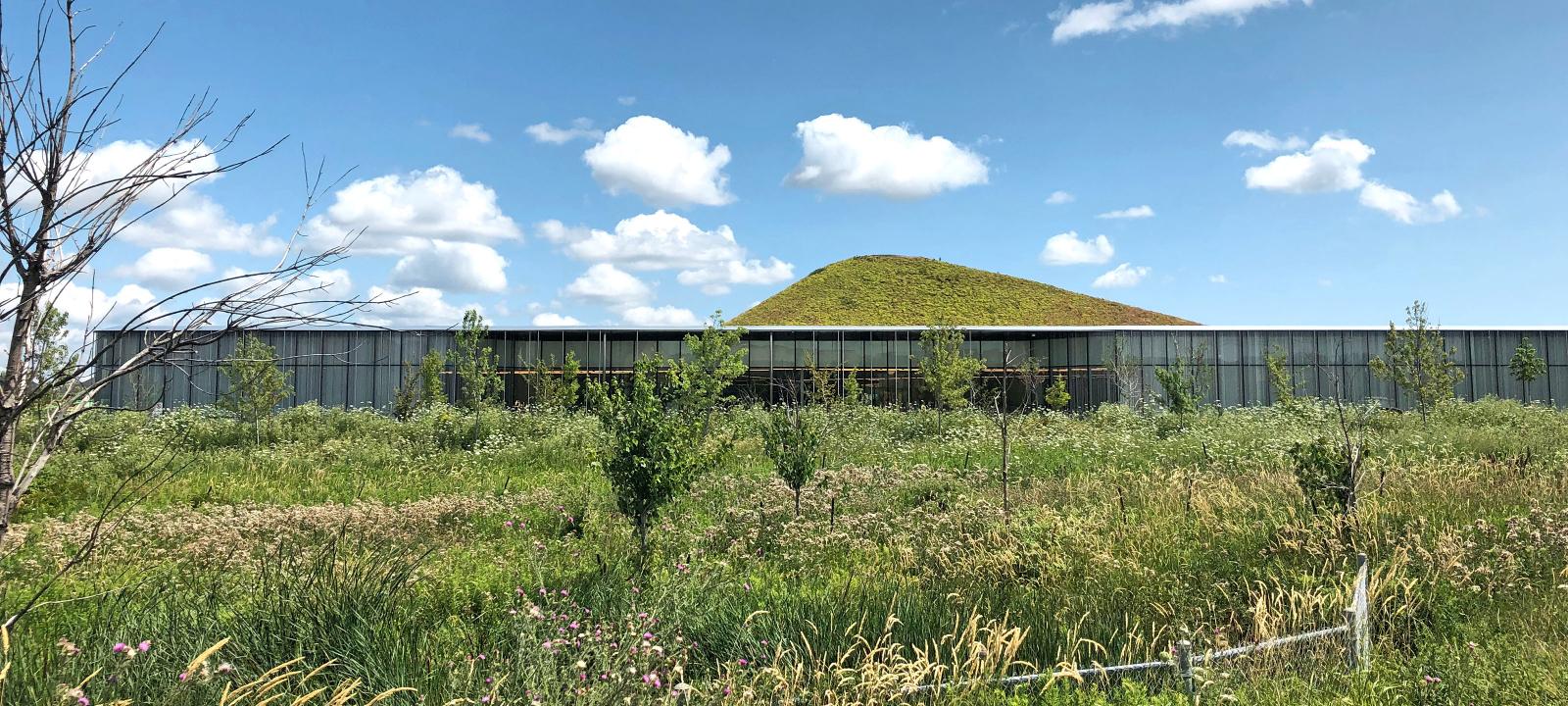 A meadow in front of a building with a pitched green roof