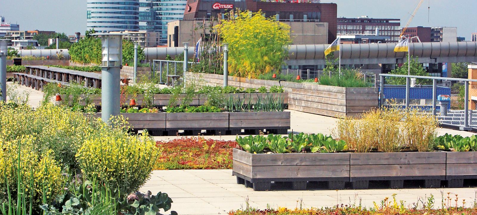 Urban Rooftop Farming | ZinCo Green Roof Systems