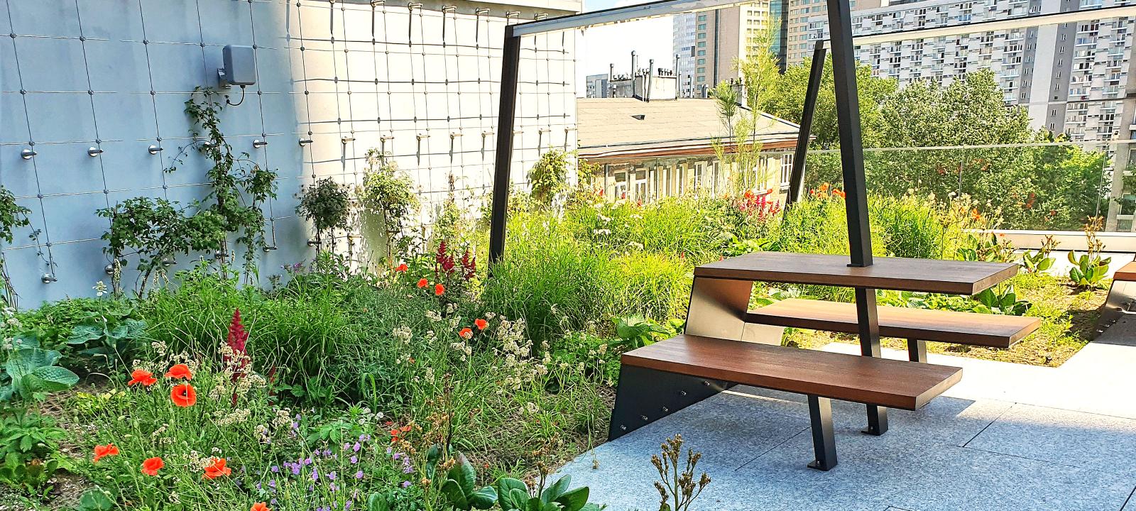 Roof garden with seating area