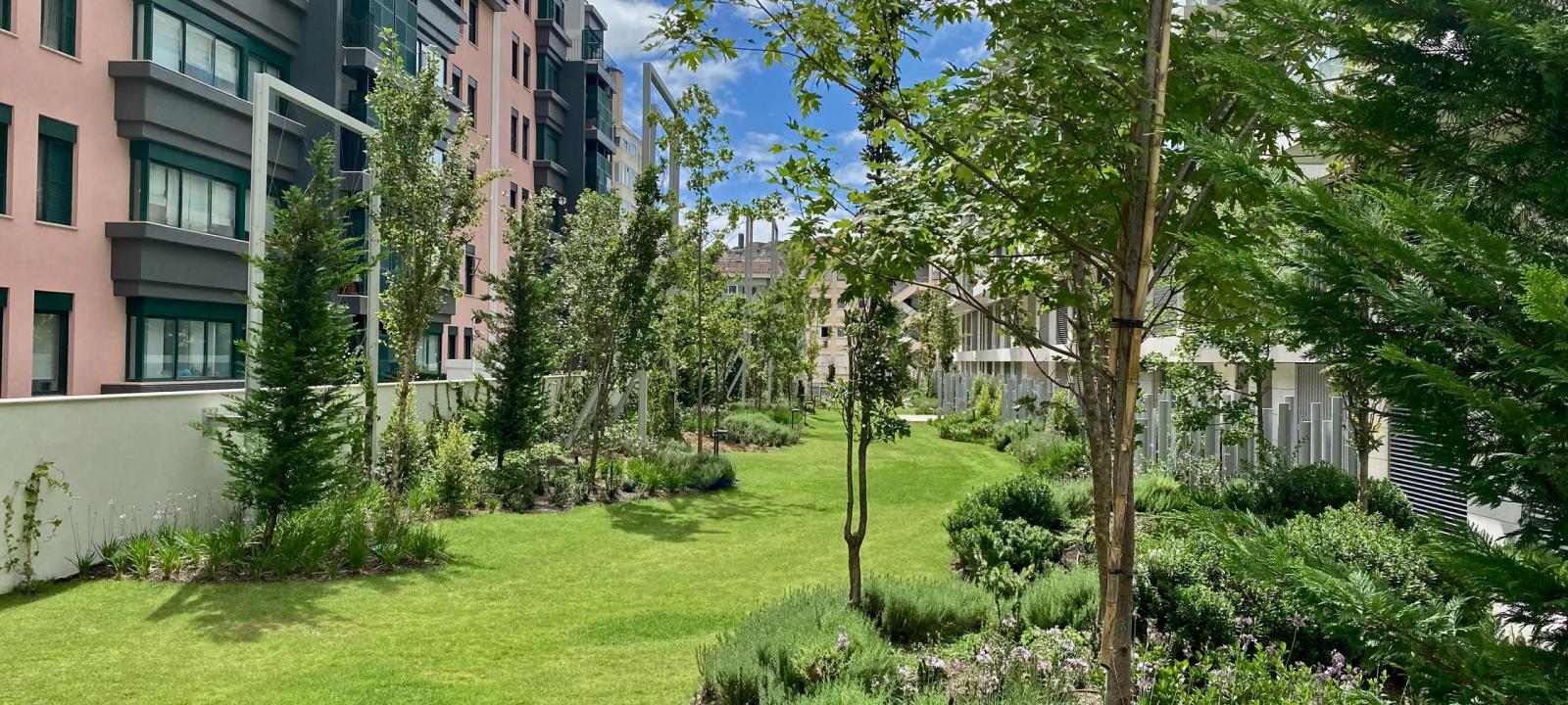Green residential courtyard