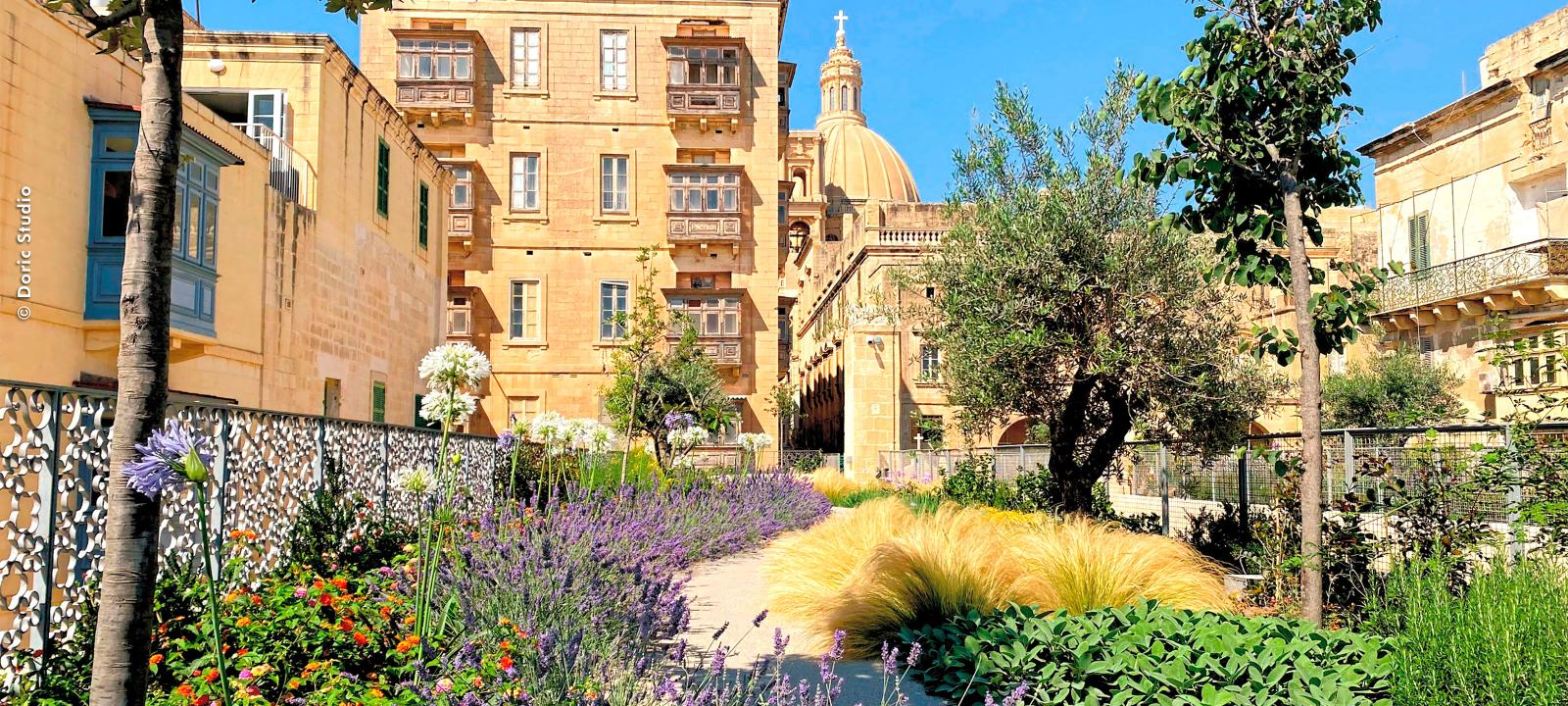 Roof garden against a historical backdrop