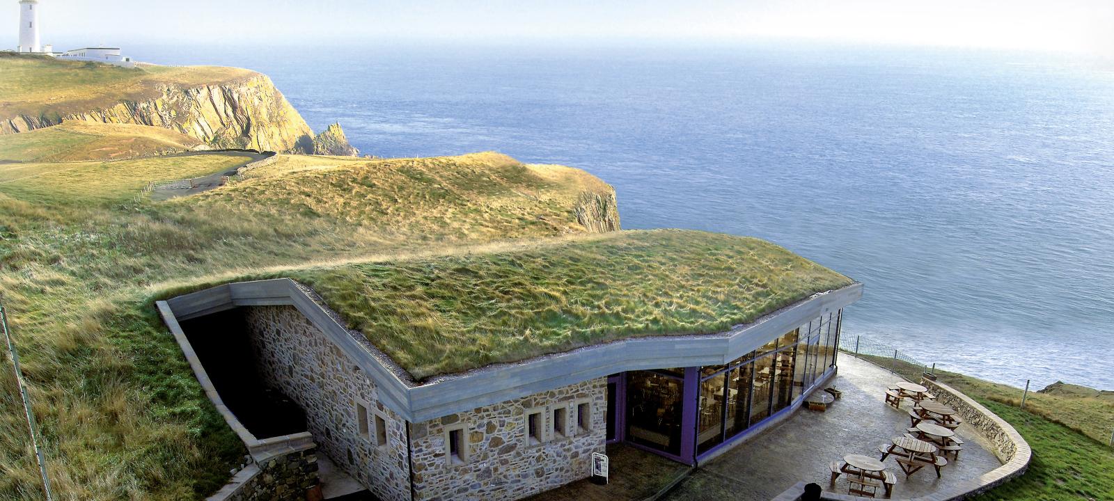 Green roof by the ocean