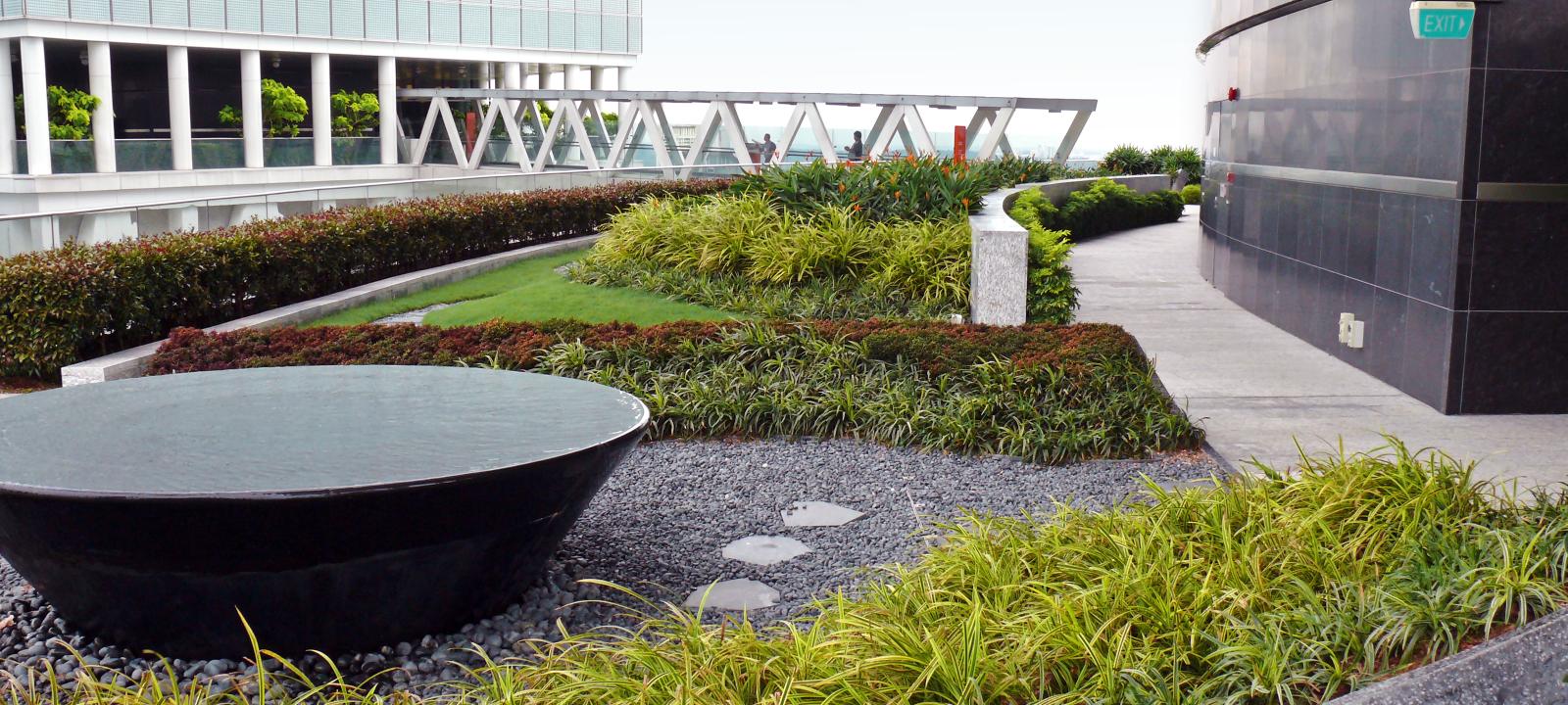 Roof garden with water basin