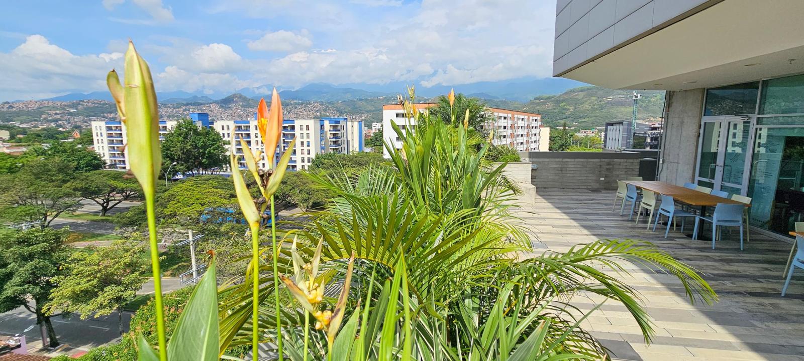 Roof garden