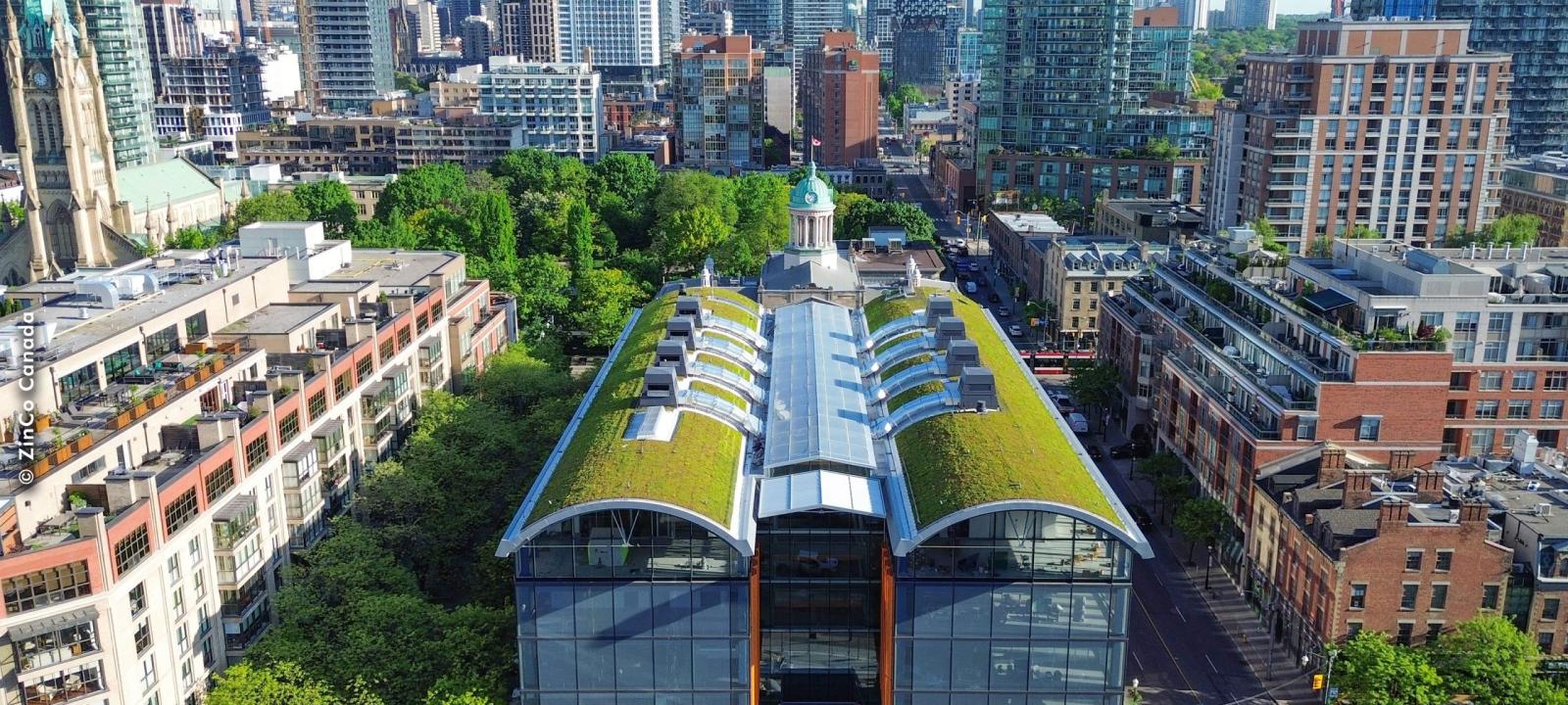 Pitched green roof