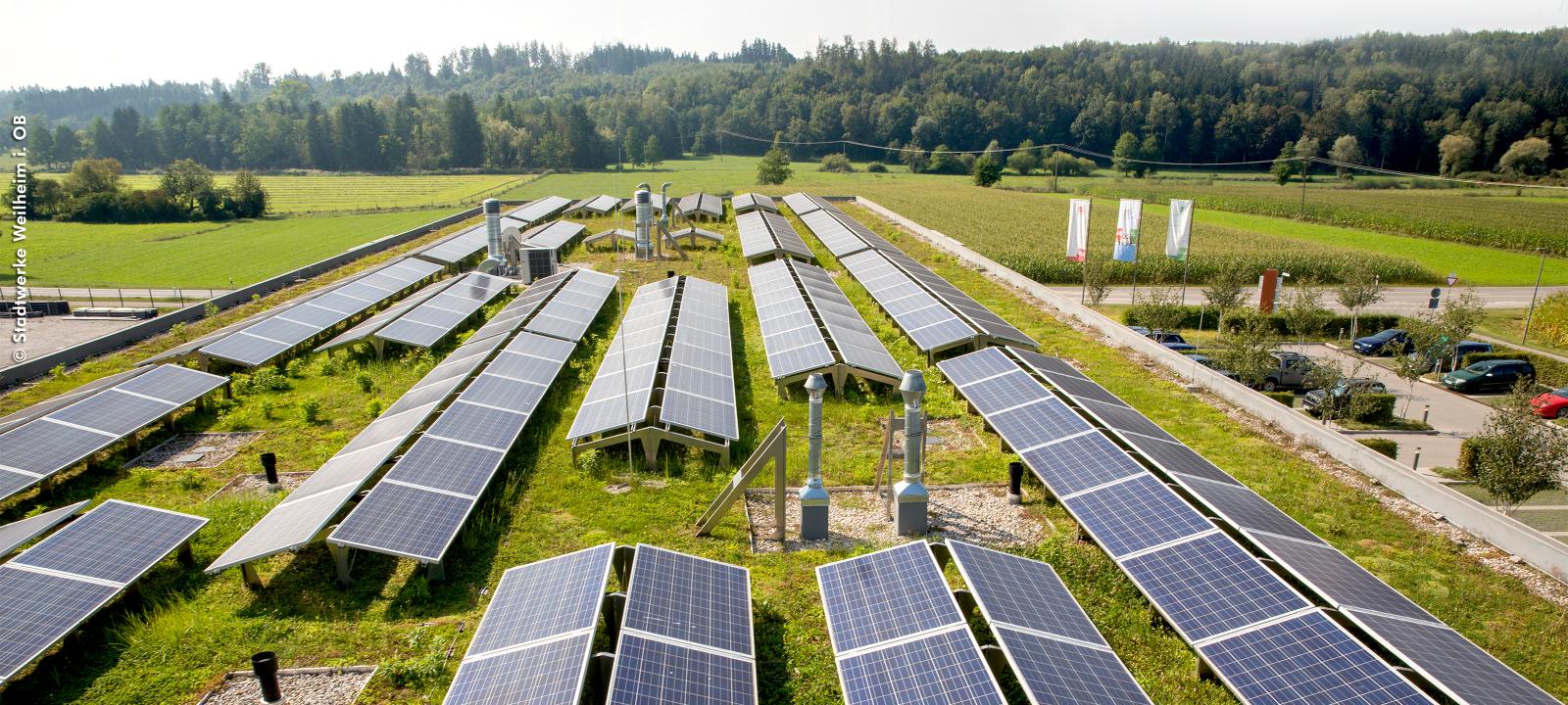 Green roof with photovoltaics