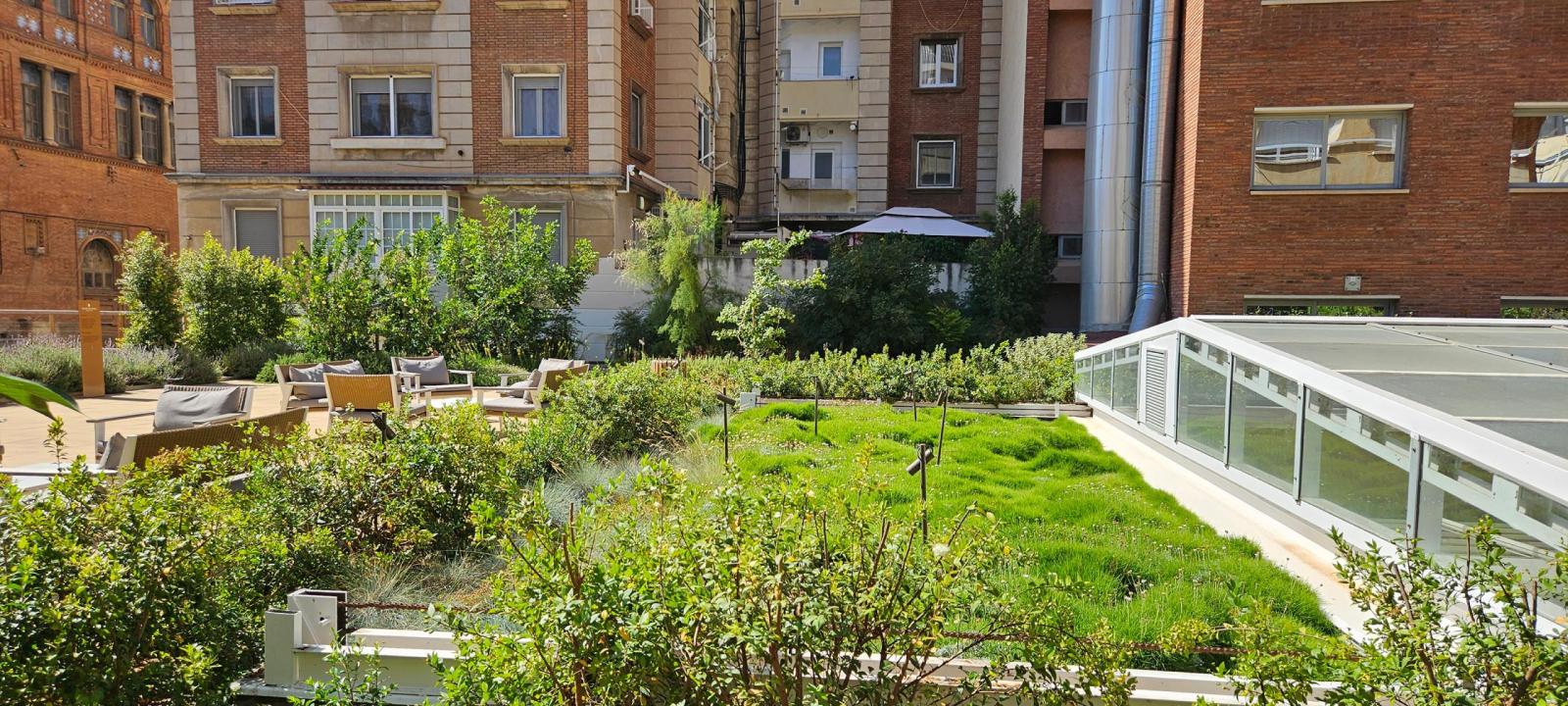 Green roof on an underground garage