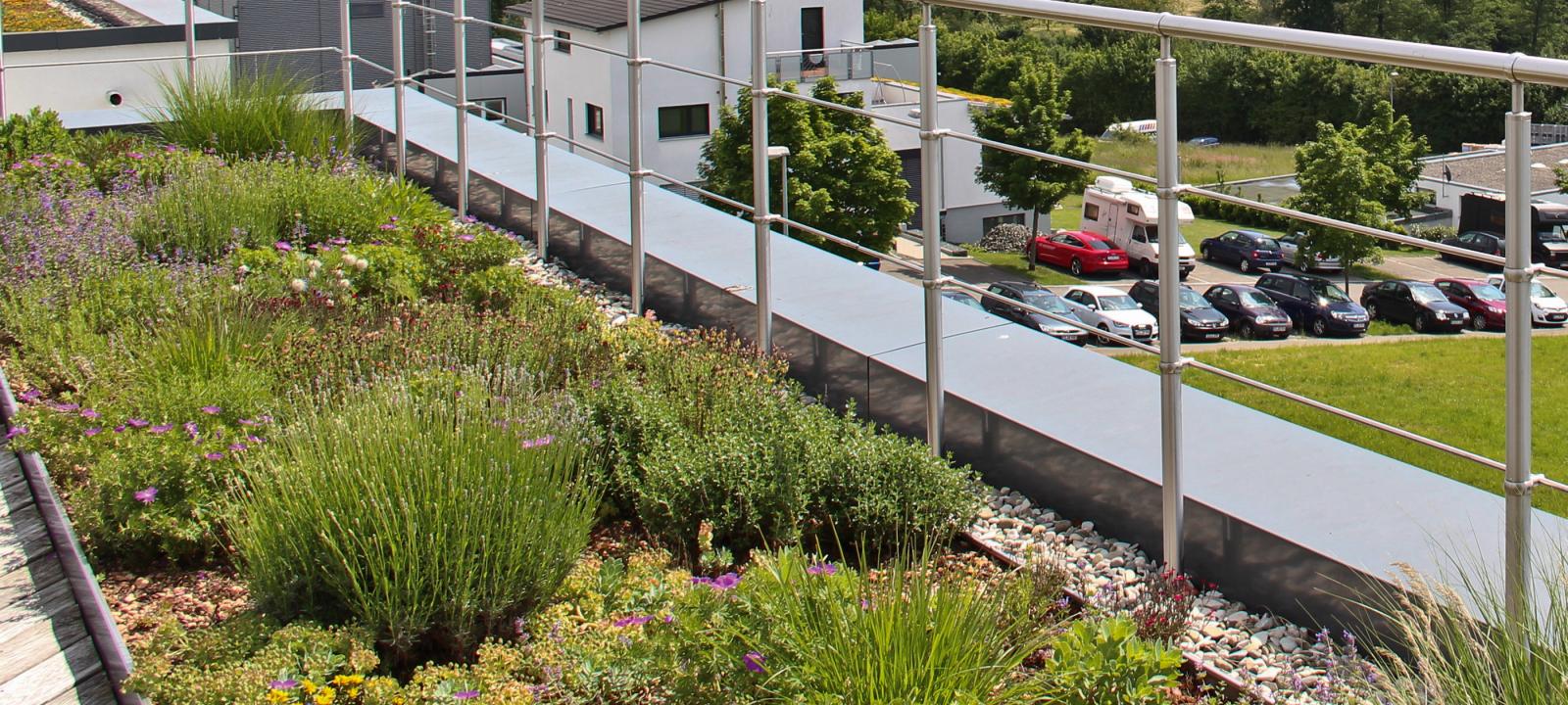 Roof garden with railing