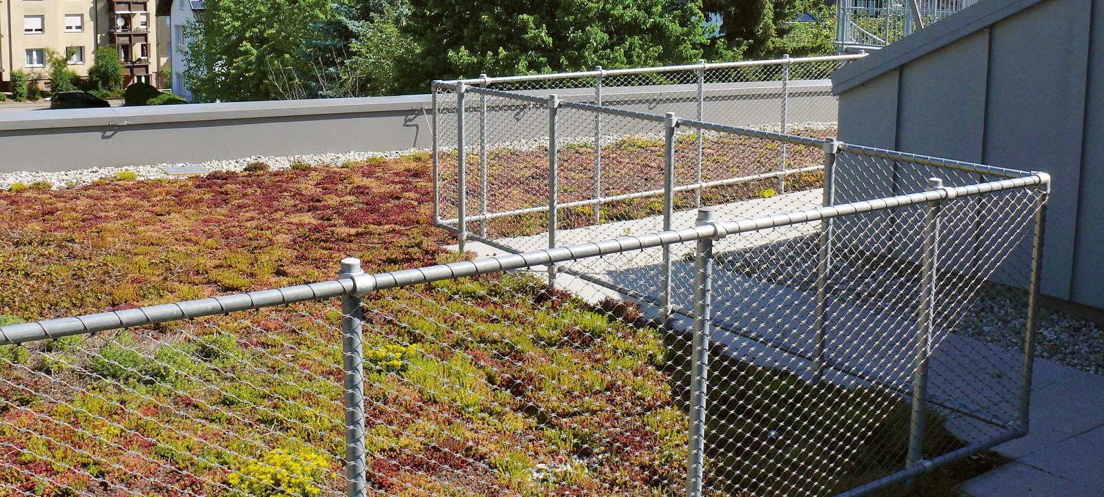 Extensive green roof with walkways and railing